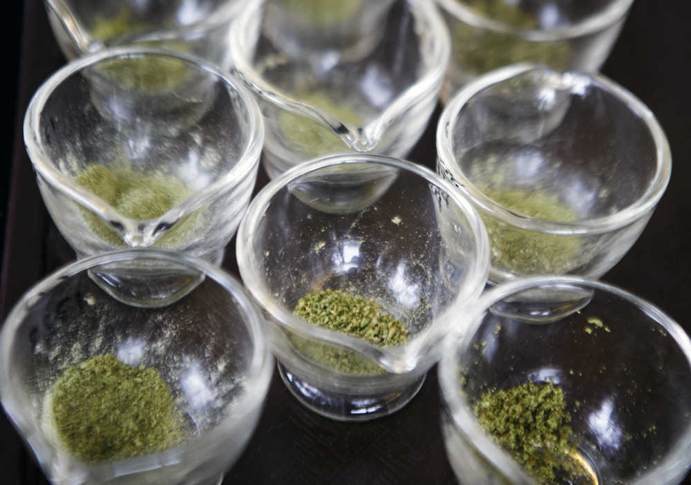 In this January 2015 file photo, ground-up marijuana flowers sit before potency testing at Analytical 360 in Yakima, Washington. Washington state has agreed to begin more regular testing for banned pesticides in marijuana. The testing is expected to begin early next year and will examine marijuana where regulators have reason to suspect illegal pesticides have been used.