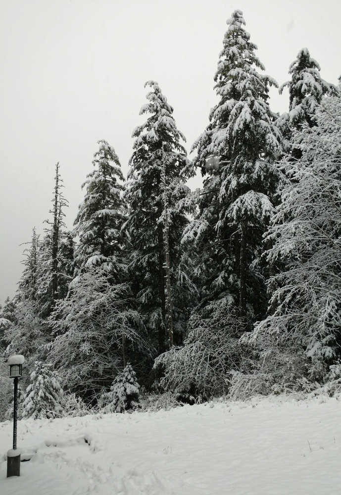 The first snow of the season seen here Sunday morning near Blueberry Hills Road on Douglas.