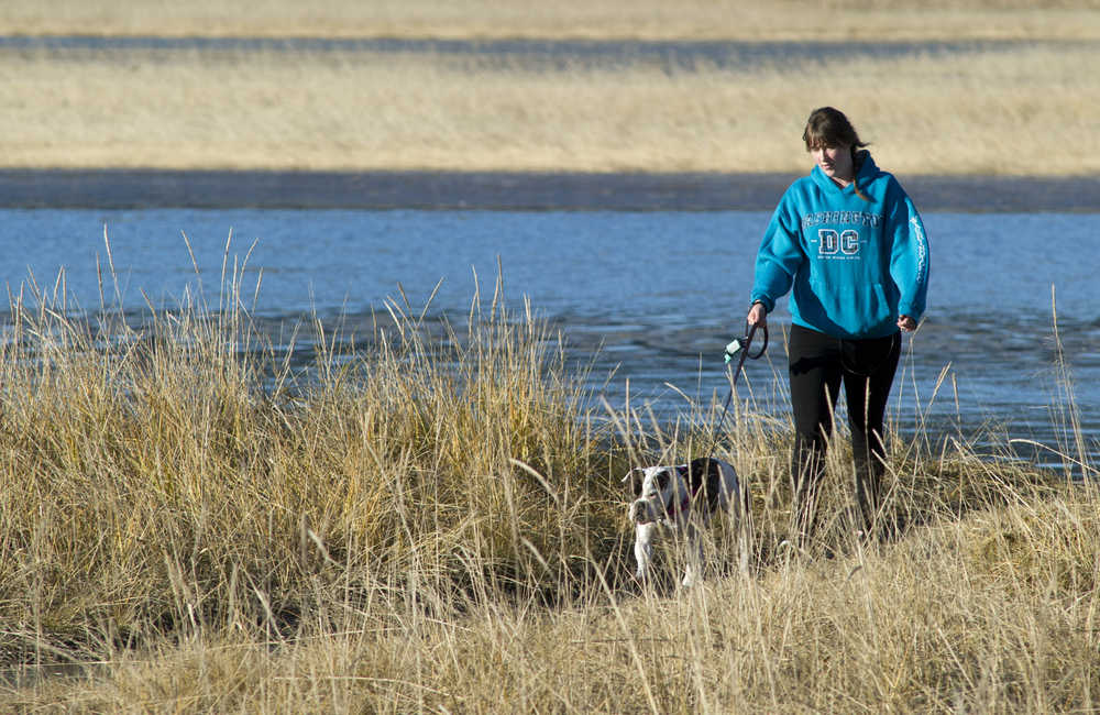 Kirsten Faulkner takes her newly adopted bulldog named Neka for a sunny walk in the Mendenhall Wetlands State Game Refuge on Monday.