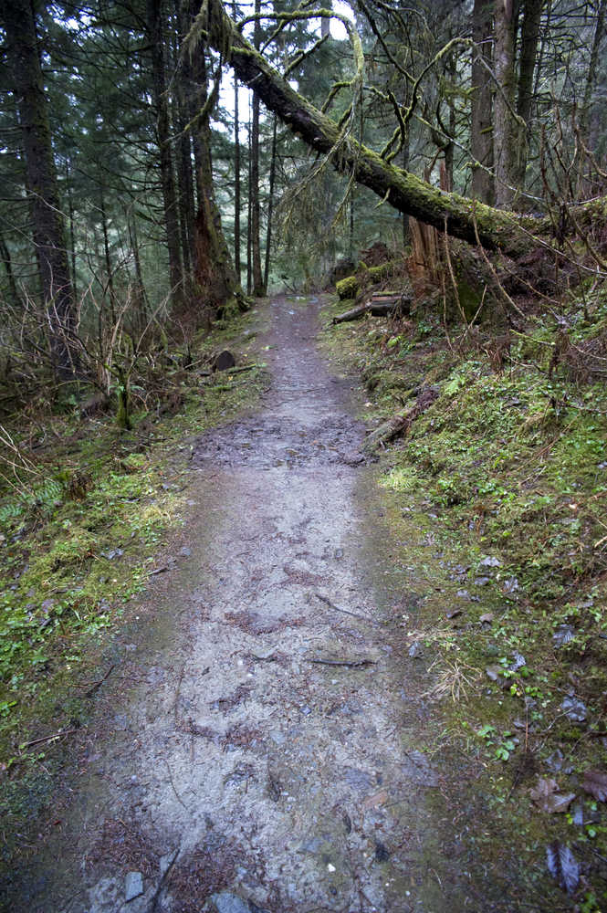The Lemon Creek Trail in Juneau seen Monday. "Sharing the Trails," hosted by Alaska Department of Fish and Game and the Juneau Chapter of the Alaska Trappers Association, is a presentation meant to educate the public on trapping in Juneau, such as where traps are located, how they operate and what to do if you come across one.