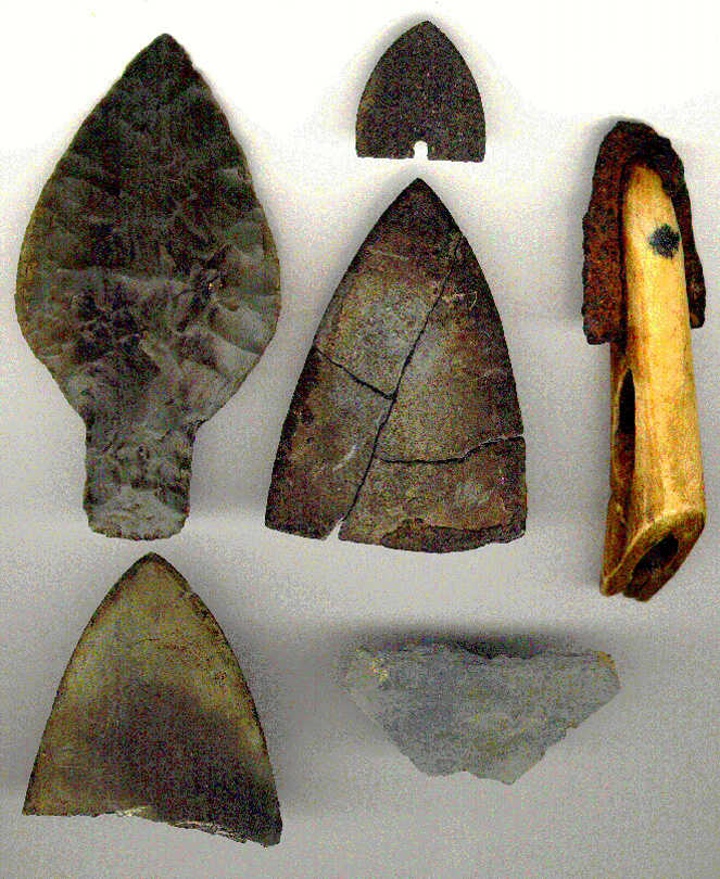 Eskimo hunters have found six ancient harpoon points in bowhead whales since 1981, two made of slate, two of other stone, a metal blade, and an ivory harpoon head tipped with metal.