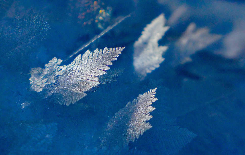 Ice crystals on a 3 degree morning up the Windfall Lake Trail.