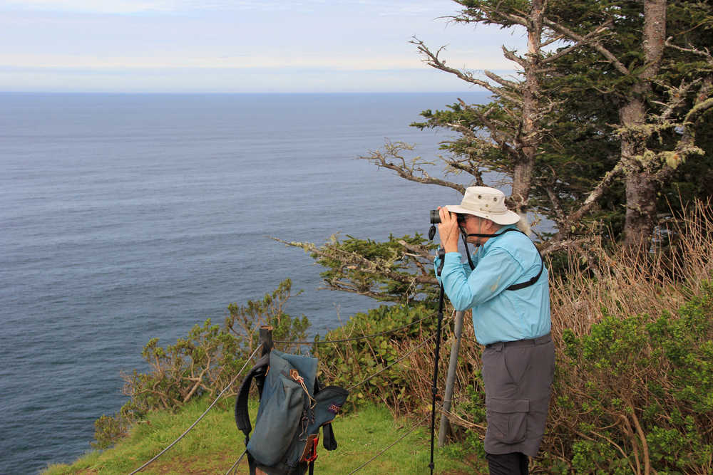 ADVANCE FOR USE SATURDAY, DEC. 31, 2016, AND THEREAFTER- FILE--In this March 20, 2015, file photo, Jim Border, who volunteers to help members of the public spot whales during Spoken Here Whale Watching Week on the Oregon Coast, scans the horizon for signs of spouts from the tip of Cape Lookout, near Tillamook, Ore. (Zach Urness/Statesman-Journal via AP, File)