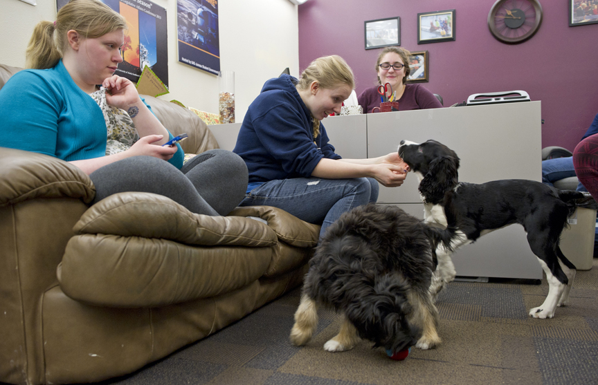 University of Alaska Southeast students Melissa Arnold, center, Hannah Wolfe-McPike, left, and Callie Conerton play with puppies Ray, right, and Max in the student government office at UAS on Monday. Conerton, the UAS Student Body President, had the idea to use the puppies as a stress release for students getting ready for next week's finals.