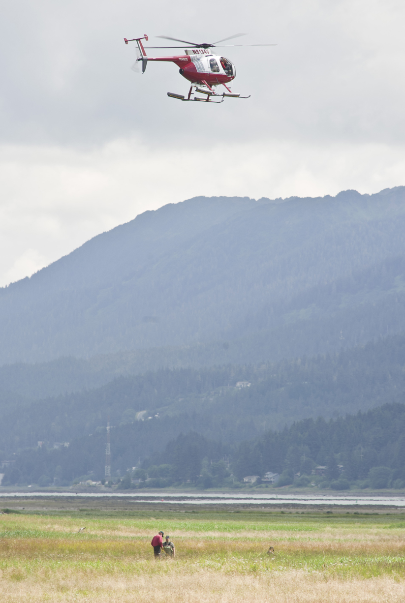 A Temsco helicopter joins the search for possible missing woman Kristina Elizabeth Young, 36, on Monday after her brother George Benjamin Young, 40, was found dead in Lemon Creek on Sunday.