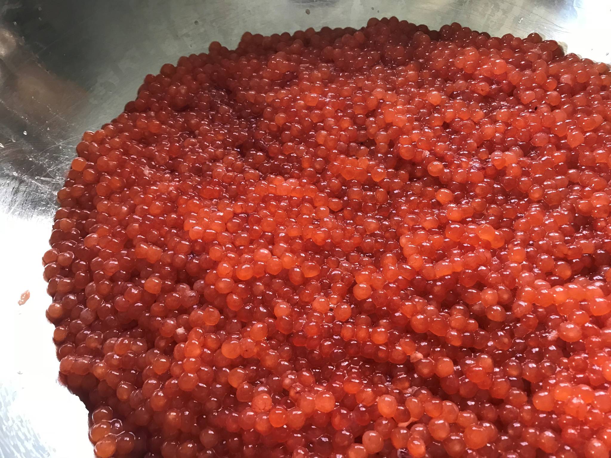 Bowl of dog salmon eggs, removed from skein (Vivian Faith Prescott | Capital City Weekly)
