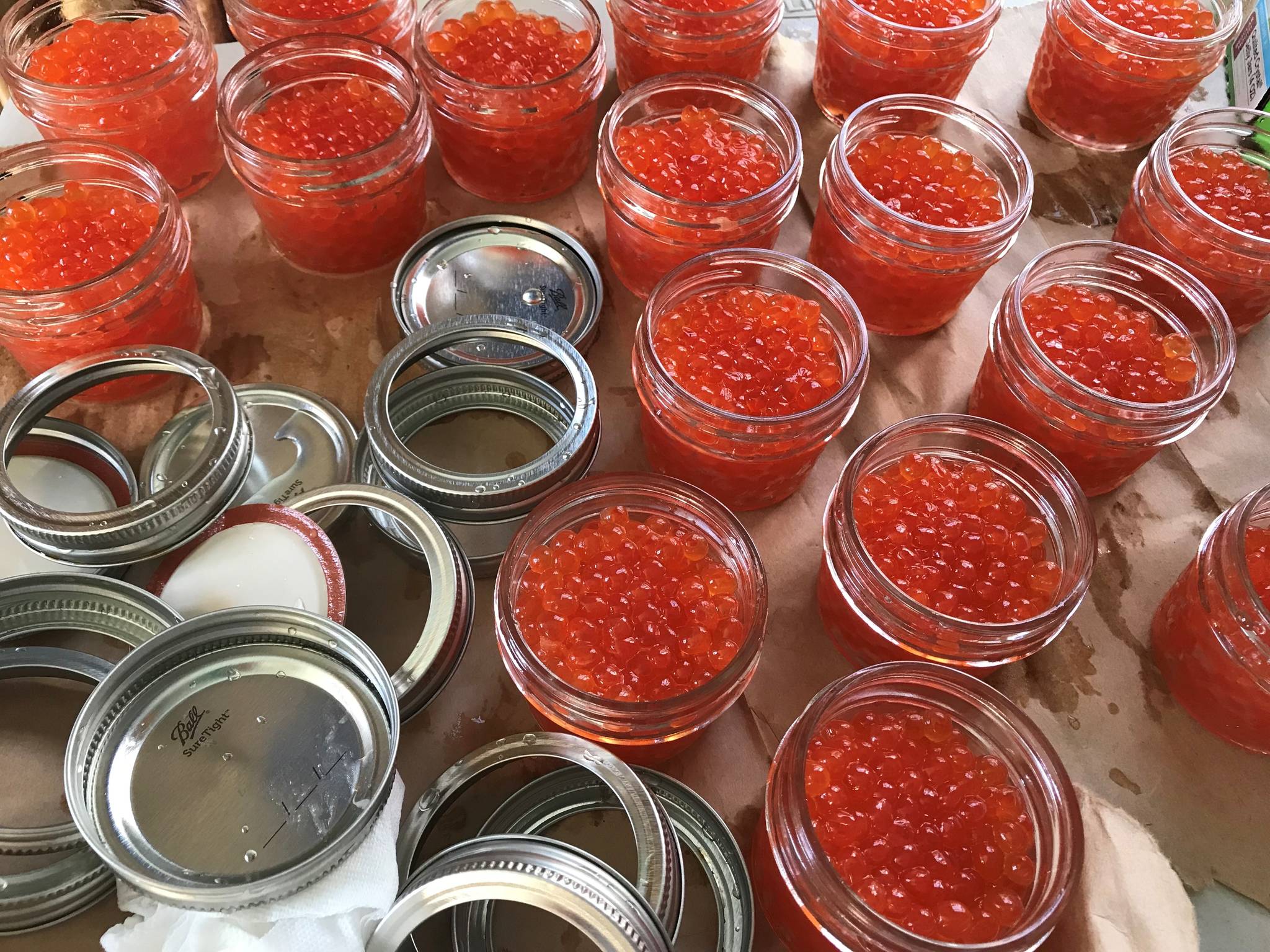 Dog salmon eggs in jars (Vivian Faith Prescott | Capital City Weekly)