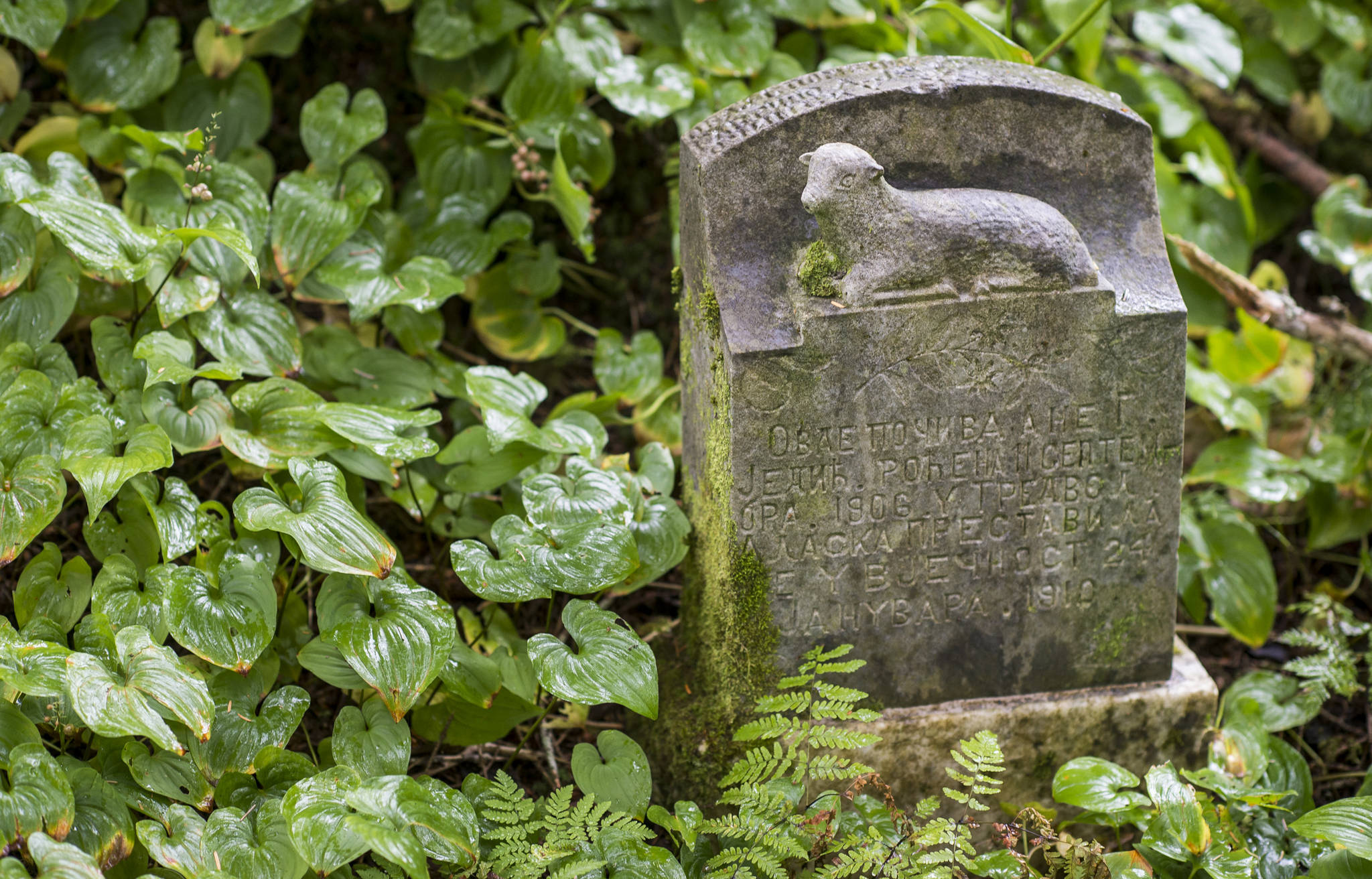 A lamb-decorated headstone lays half hidden in a cemetery section in Douglas on Monday, August 13, 2018. (Michael Penn | Juneau Empire)