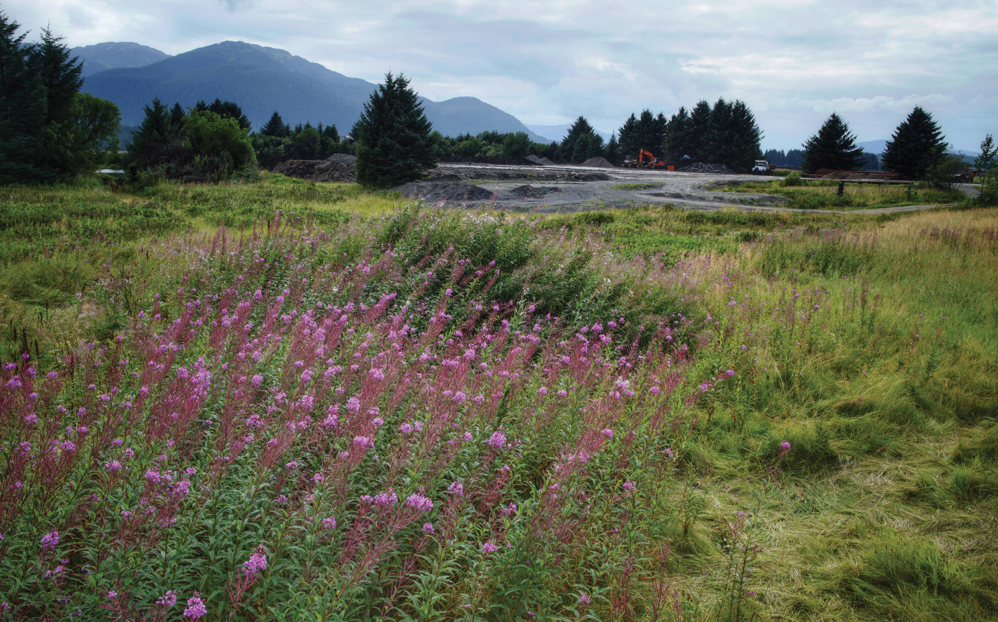 The field owned by Bicknell Inc. next to the Juneau International Airport on Wednesday, August 15, 2018. (Michael Penn | Juneau Empire)