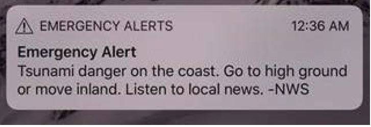 A Wireless Emergency Alert message is seen during the tsunami false alarm in January. A similar message will appear on cellphones at 10:18 a.m. Sept. 20. (Courtesy Photo | Alaska Division of Homeland Security and Emergency Management)