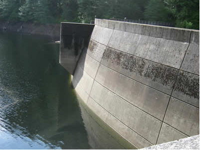 This screengrab from the Southeast Alaska Power Agency website shows the Swan Lake Hydroelectric Facility