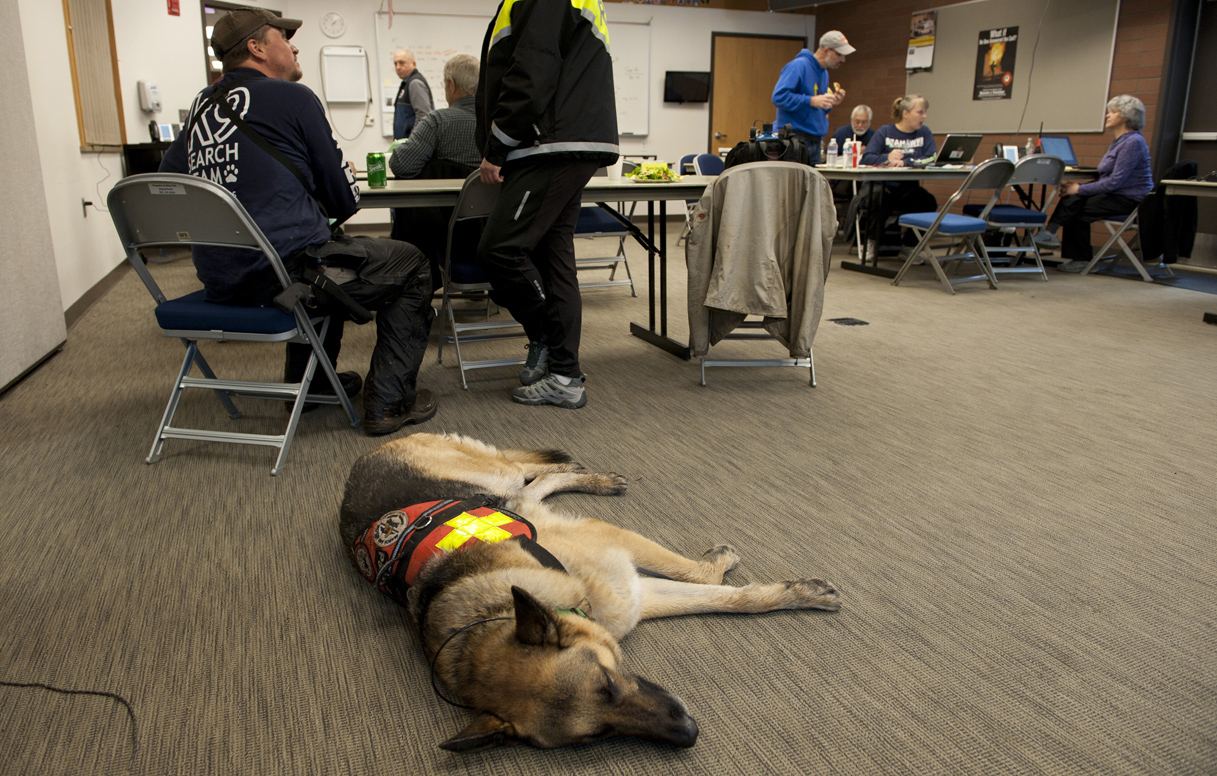 Juneau SEADOGS canine Panzer rests at the Sitka Fire Hall after spending the morning in the Mt. Verstovia woods Friday, Sept. 23, looking for signs of missing hiker Michael Hansen. Four Southeast Alaska Dogs Organized for Ground Search (SEADOGS) including Panzer, from Juneau, were flown to Sitka to assist in the search. Pictured at left is Liam Higgins, Panzer's handler. The body of the hiker was discovered late afternoon Friday.