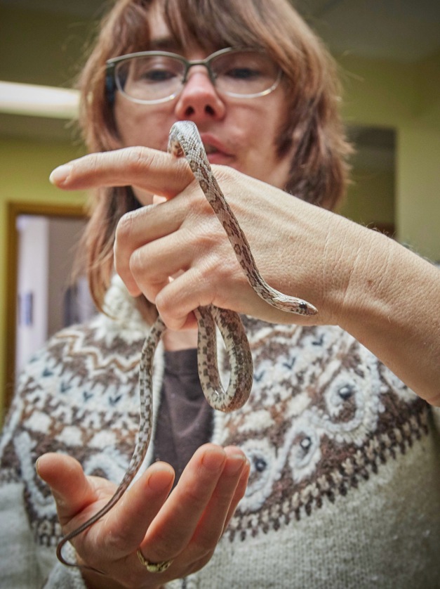 Robin McNeilley reunited with her snake, Lavender.