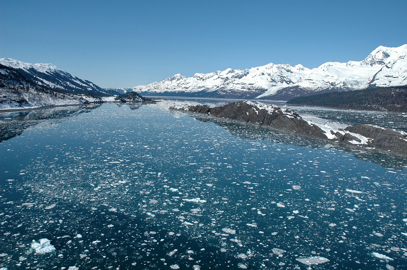 In this undated photo, bergy bits cover the surface of College Fjord in Prince William Sound. Iceburgs that threaten tanker ships carrying oil from Valdez are predicted to get smaller and more numerous over the next two decades.