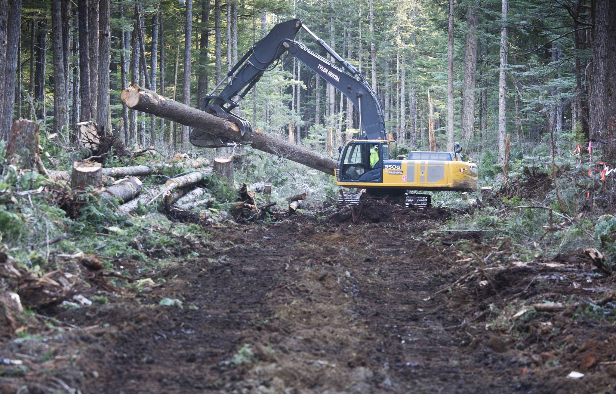 Trees and stumps are removed during the construction of the West Douglas Pioneer Road on Friday. The two-and-a-half mile road is to be completed by mid-summer when it will become available to the public by non-motorized travel. (Michael Penn | Juneau Empire)