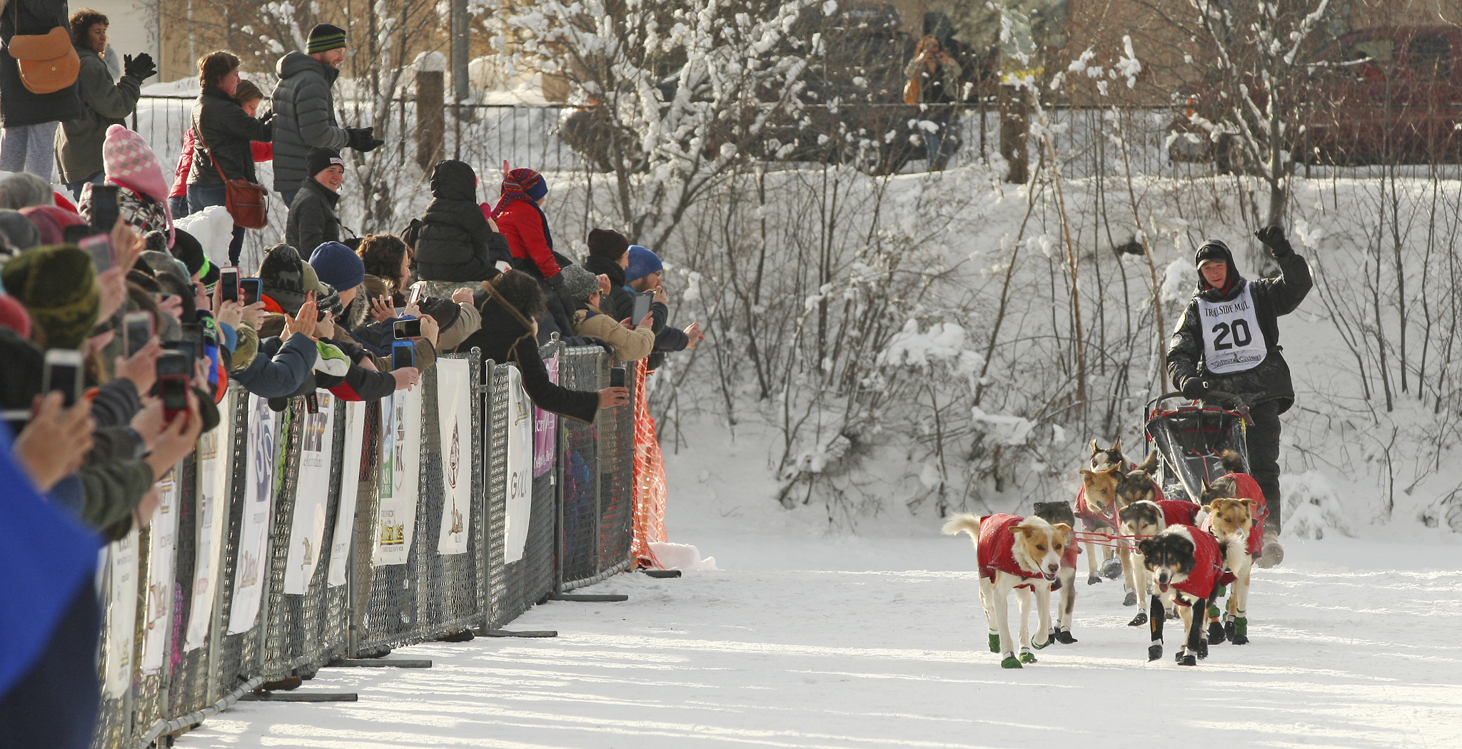Matt Hall drives his team down the finish chute as he wins the 2017 Yukon Quest International Sled Dog Race on Tuesday in Fairbanks. The 1,000 race began in Whitehorse, Yukon, Canada just over 10 days ago. (Eric Engman | Fairbanks Daily News-Miner)