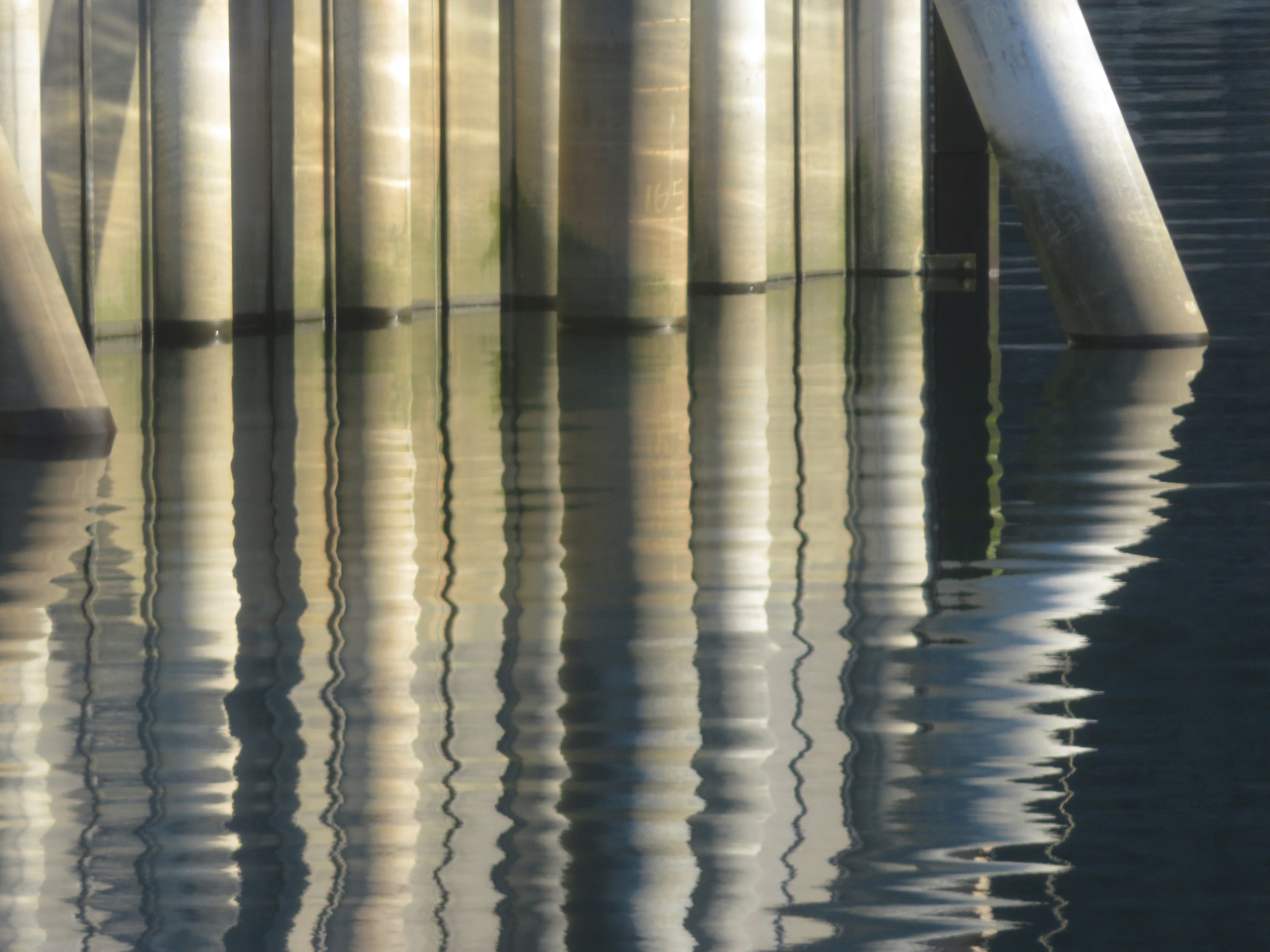 Reflection of pilings at the harbor. Photo by Ray Tsang.