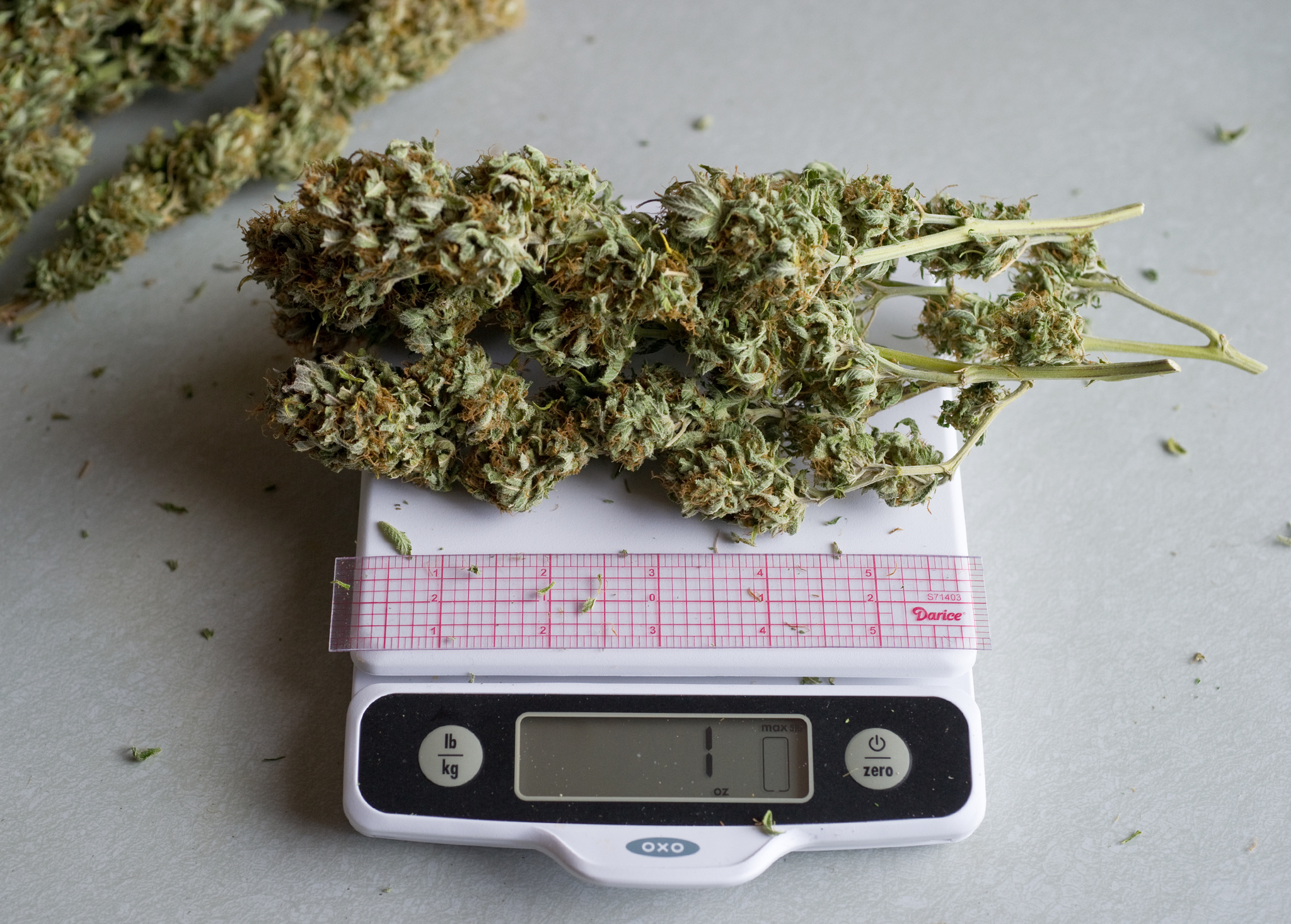 One ounce of dried marijuana is shown. (Michael Penn | Juneau Empire file)