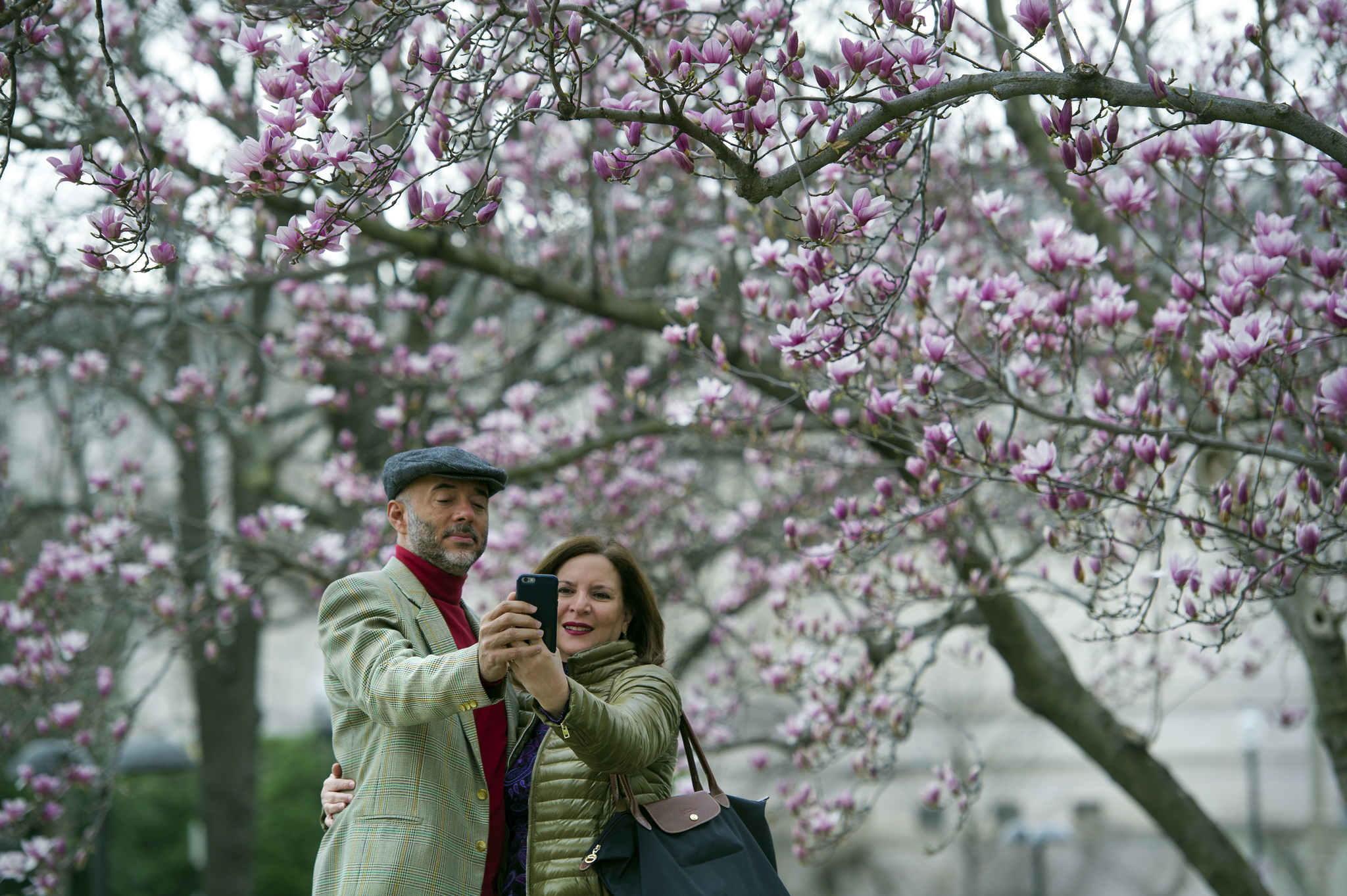 Fidelio Desbradel and his wife Leonor Desbradel, of the Dominican Republic, take a selfie in front of a Tulip Magnolia tree in Washington, D.C. on Tuesday. (Cliff Owen | The Associated Press)