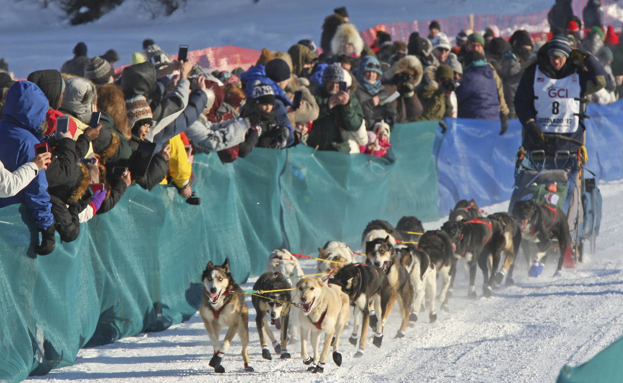 Race rookie Ryan Anderson of Minnesota drives his team onto the Chena River during the restart of the Iditarod Trail Sled Dog Race in front of Pike’s Waterfront Lodge, Monday, March 6, 2017 in Fairbanks. It’s the third time the starting location of the 1,000-mile trek to Nome, Alaska has been moved from Anchorage to Fairbanks due to low snow and poor trail conditions south of and through the Alaska Range. (Eric Engman | Fairbanks Daily News-Miner)