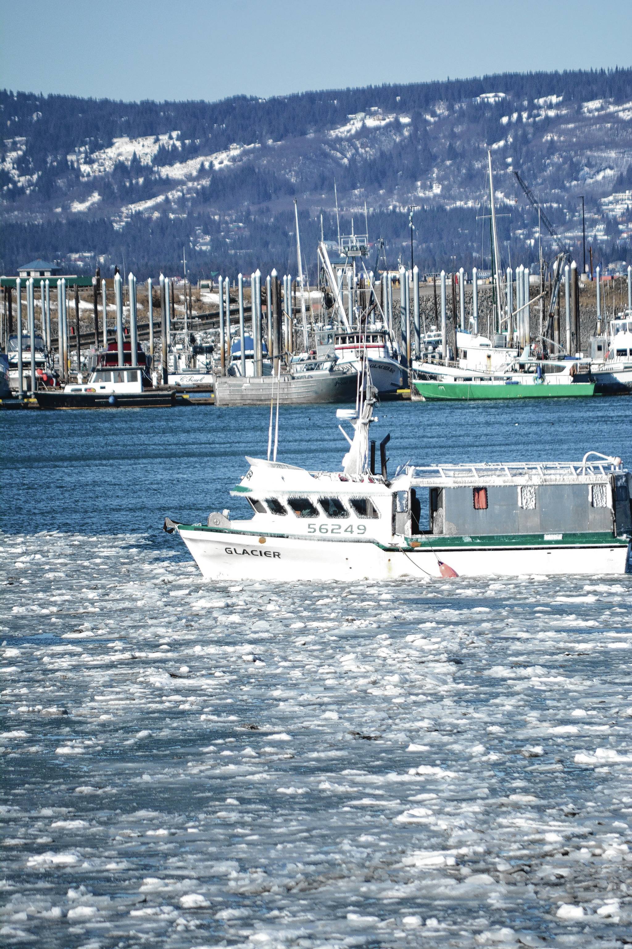 The F/V Glacier works its way around ice clogging the east end of the Homer Harbor on Tuesday afternoon. (Michael A. Armstrong | Homer News)