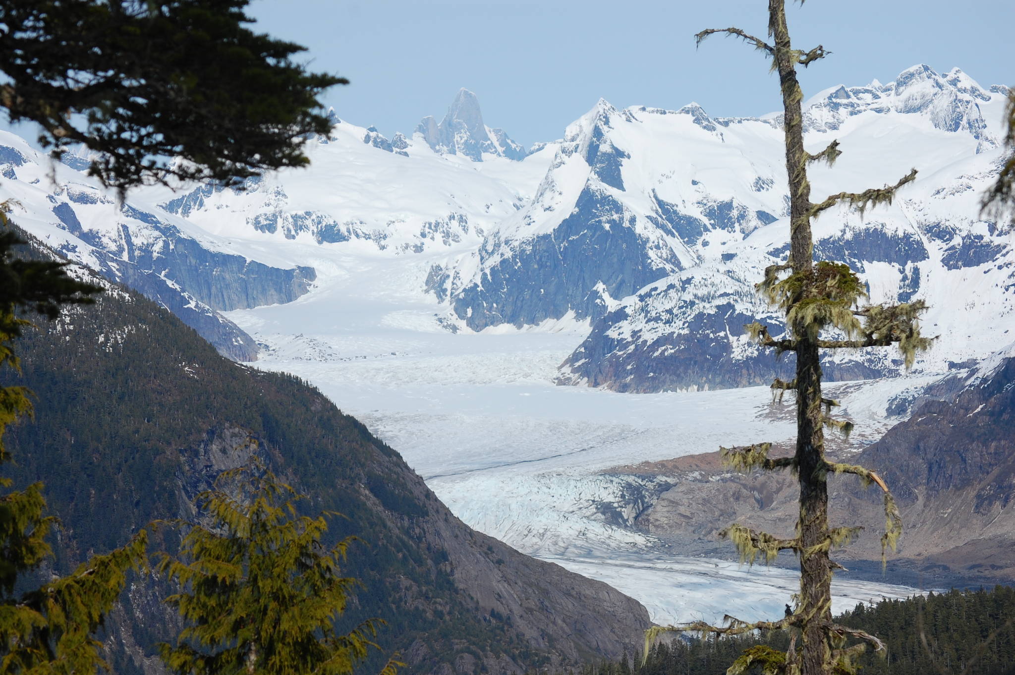 The Devils Thumb and the Patterson Glacier from the mountain where the alleged “devil creatures” chased Charlie in “A Testament to Ice” from “Haunted Inside Passage.” Photo by Bjorn Dihle.