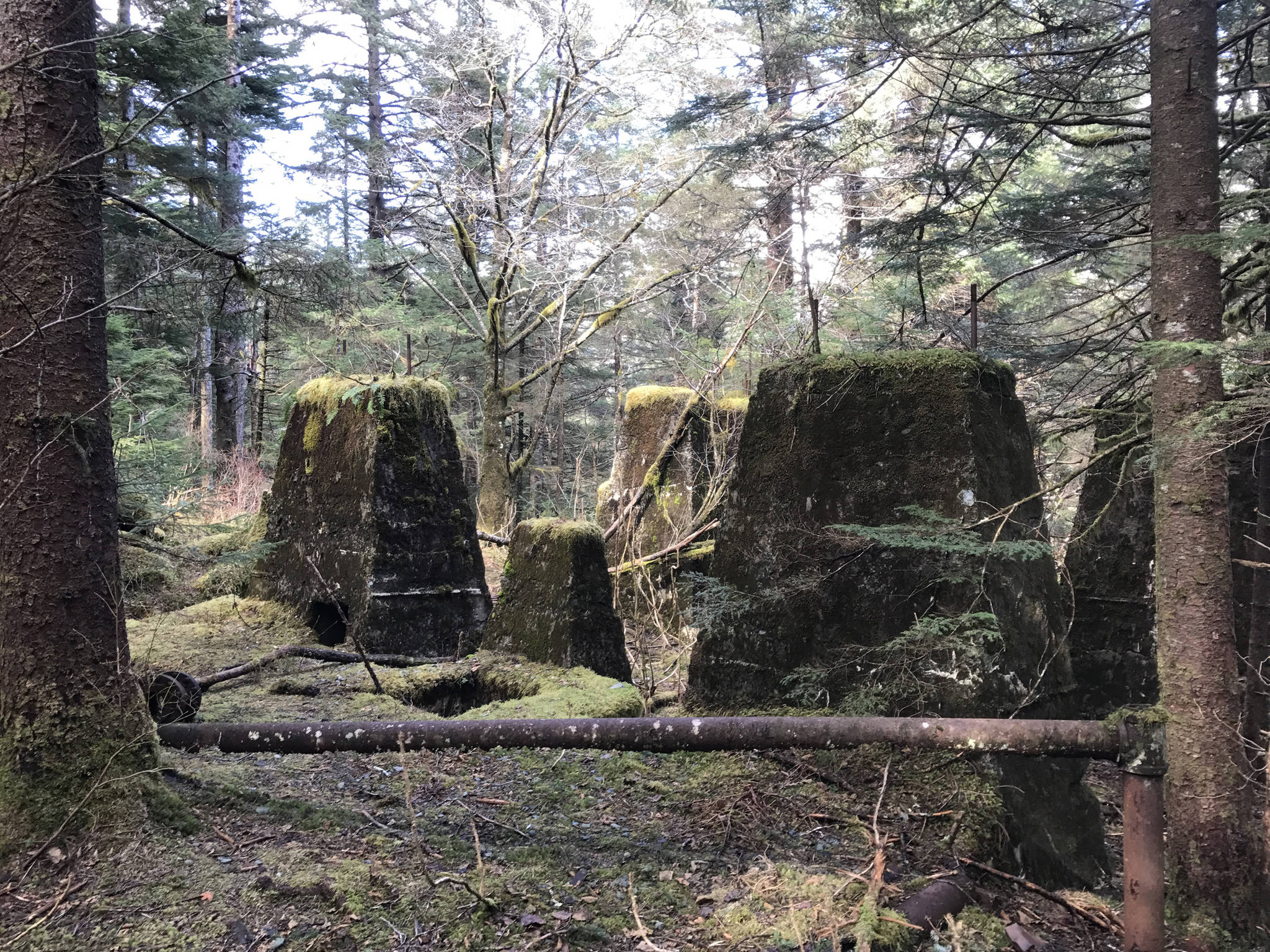 Most of the buildings of the town of Treadwell have crumbled, now overgrown as the temperate rainforest has reclaimed the land. (Alex McCarthy | Juneau Empire)