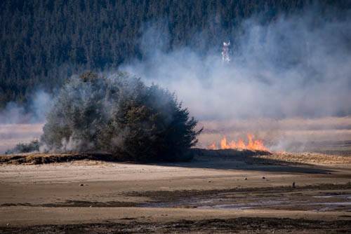 A small grass fire erupted in the Mendenhall wetlands near the airport Sunday afternoon. (Courtesy Scott Spickler)