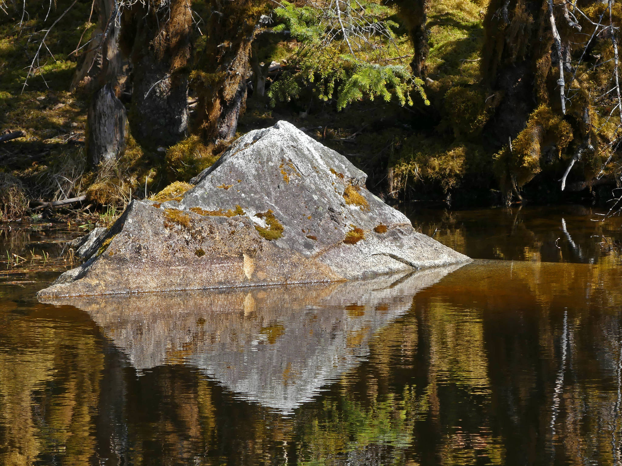 Reflected rock at Moraine Lake. Photo by Brooke Daly.
