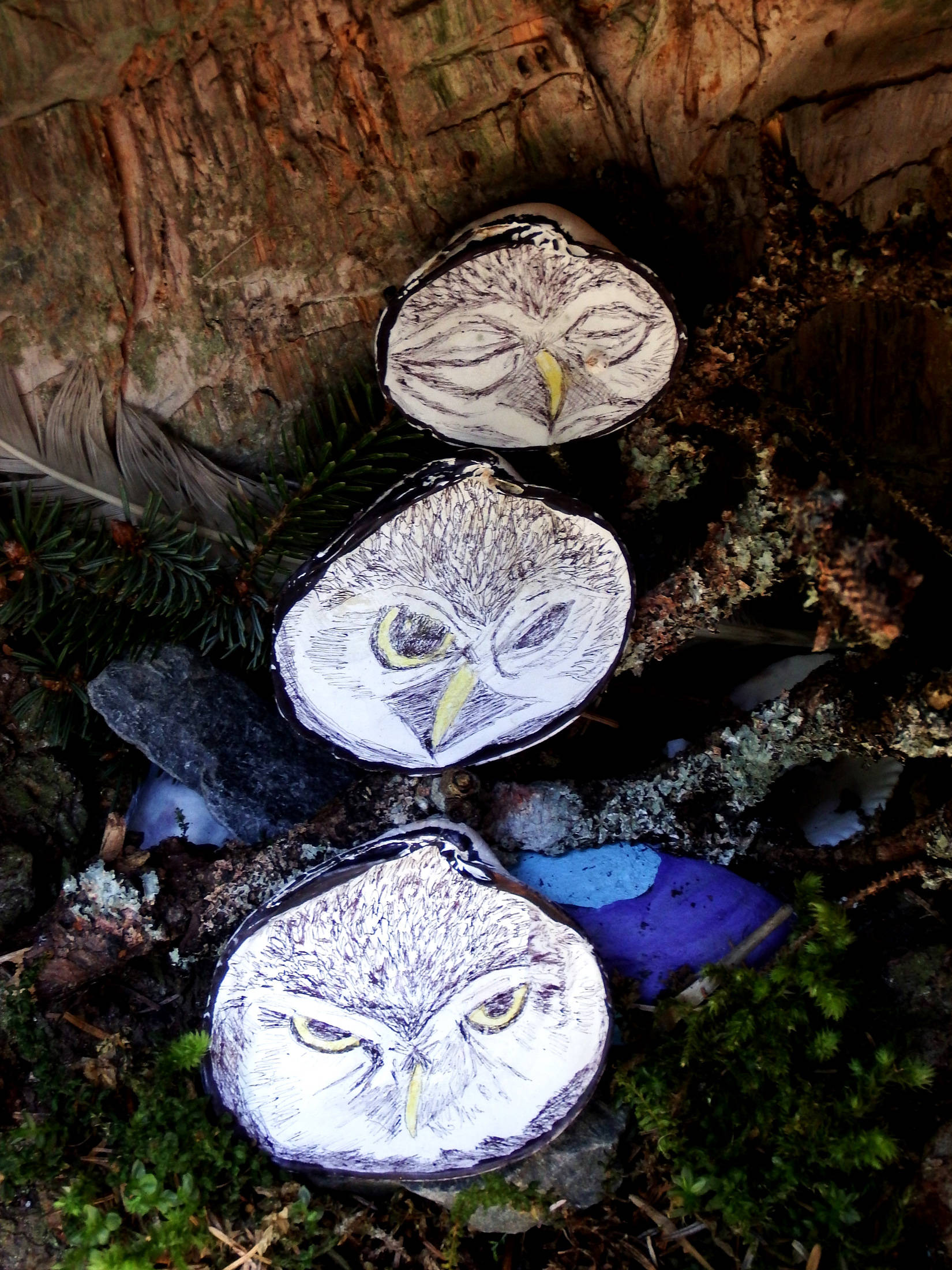 Owl faces in the hollow of a tree, by an unknown artist, along Point Louisa trail on April 22. Photo by Linda Shaw.