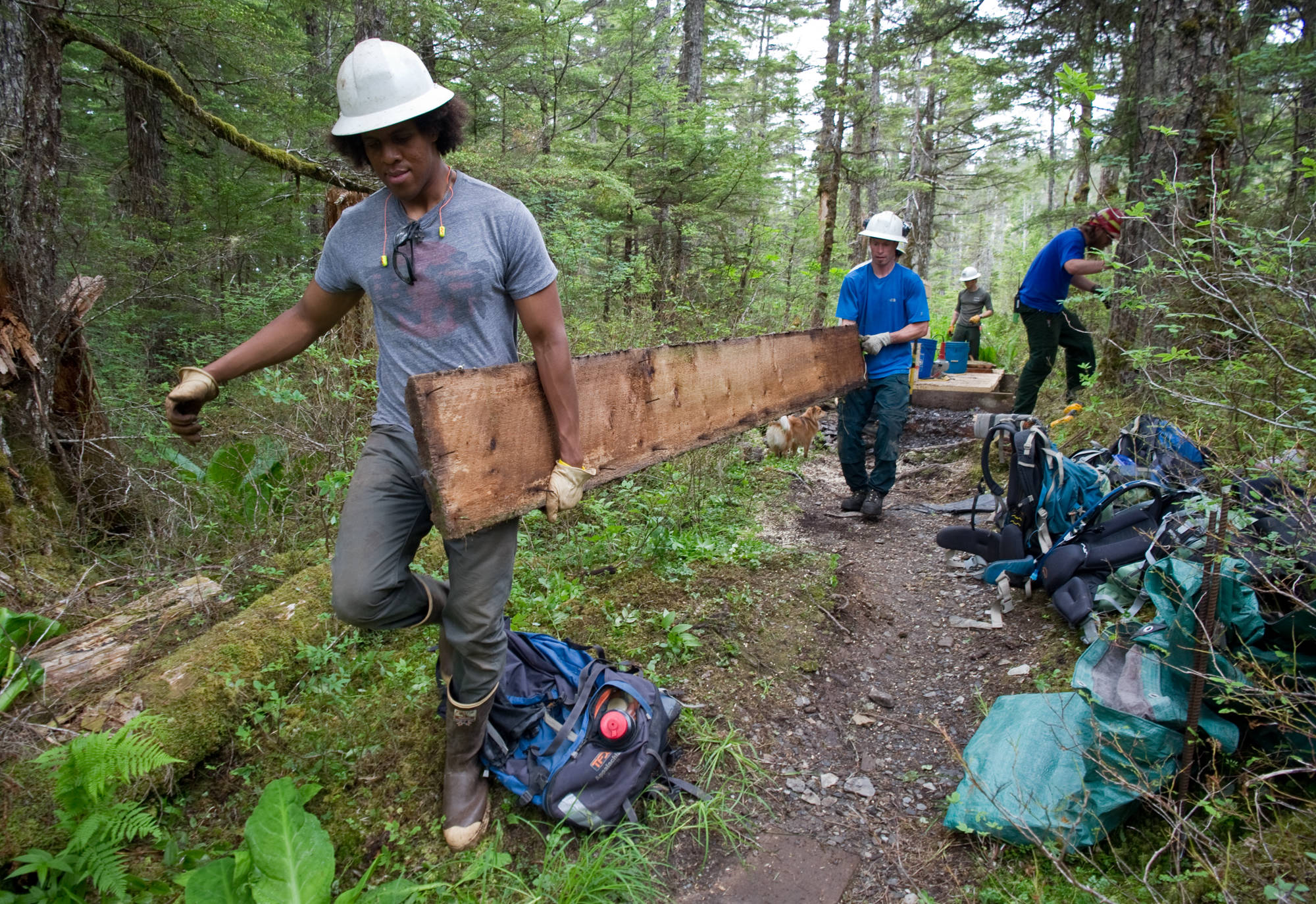 In this June 2013 file photo, Justin McKoy, left, and Peter Cross of the U.S. Forest Service move old boardwalk boards from the Auke Nu Trail. The crew is replacing boardwalk with gravel and building new bridges on the trail that leads to the John Muir Cabin. (Michael Penn | Juneau Empire file)