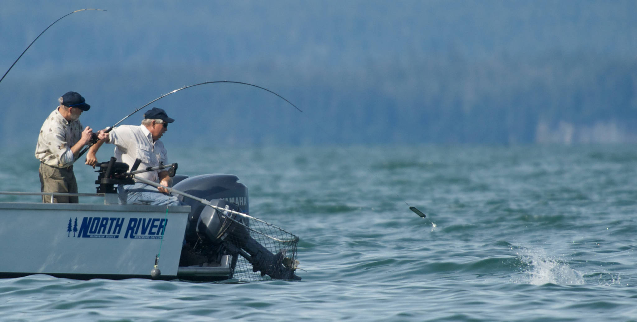 In this August 2015 file photo, Kurt Henning reels in a salmon while Steve Raabe prepares a net on the first day of Golden North Salmon Derby. Craig Loken (not pictured) ran the boat. A record low forecast cancelled the Spring King derby this year. (Michael Penn | Juneau Empire file)