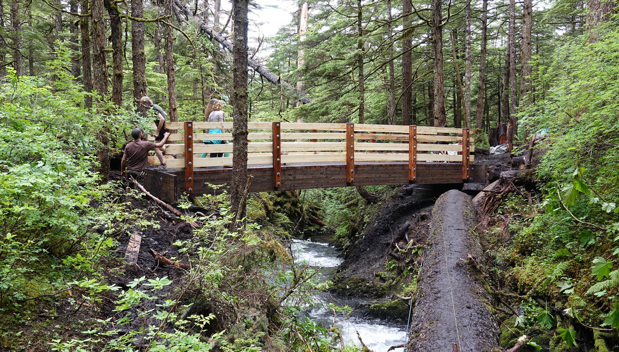 A completed bridge across Paris Creek on the Treadwell Ditch Trail on Wednesday, July 12, 2017. (Photo courtesy of Jack Kreinheder)