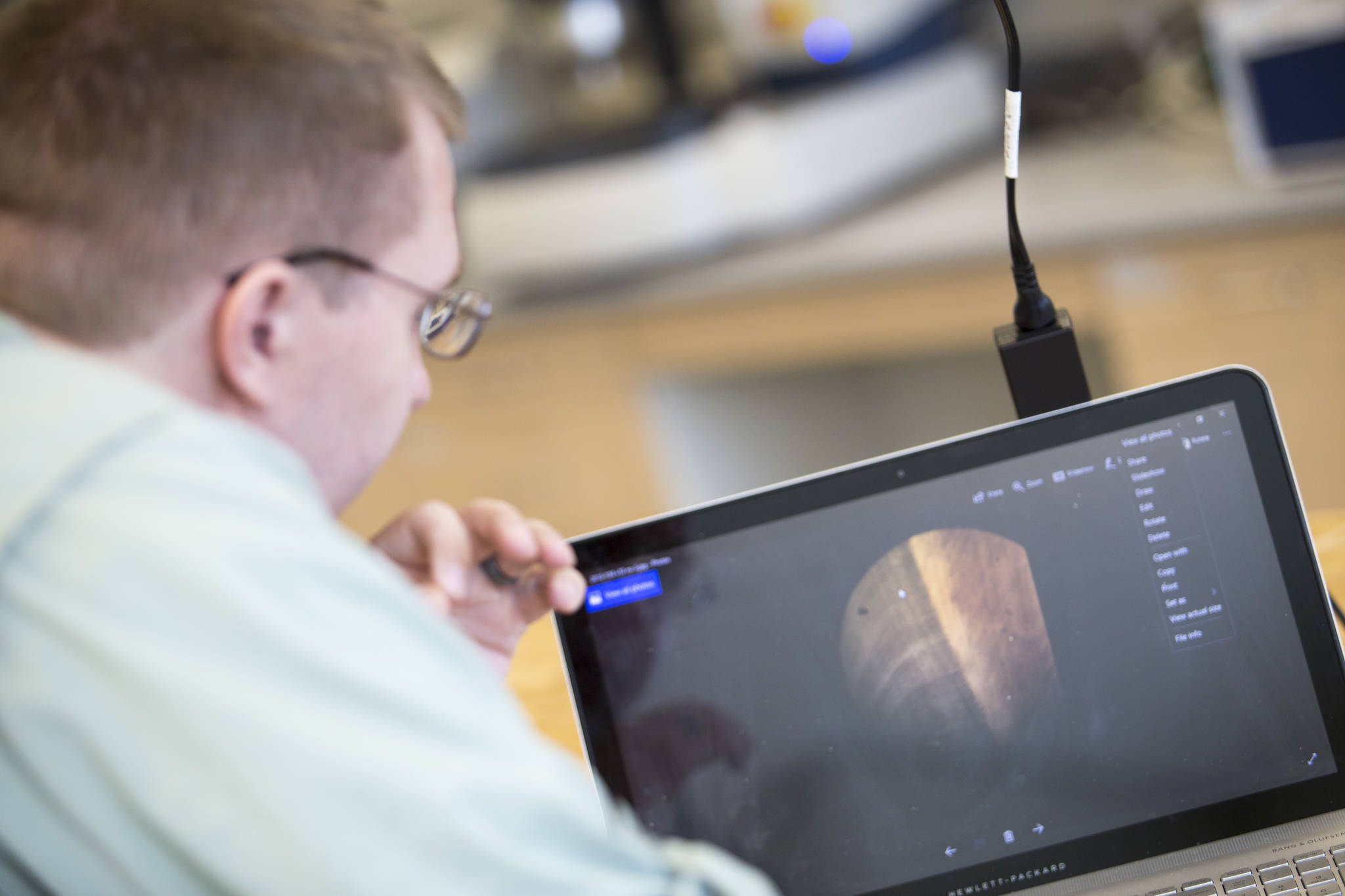 UAA graduate student Nathan Harmston shows the thin layers of a caribou’s tooth, which can serve as a natural tracking collar from the past. (Ted Kincaid | University of Alaska Anchorage).