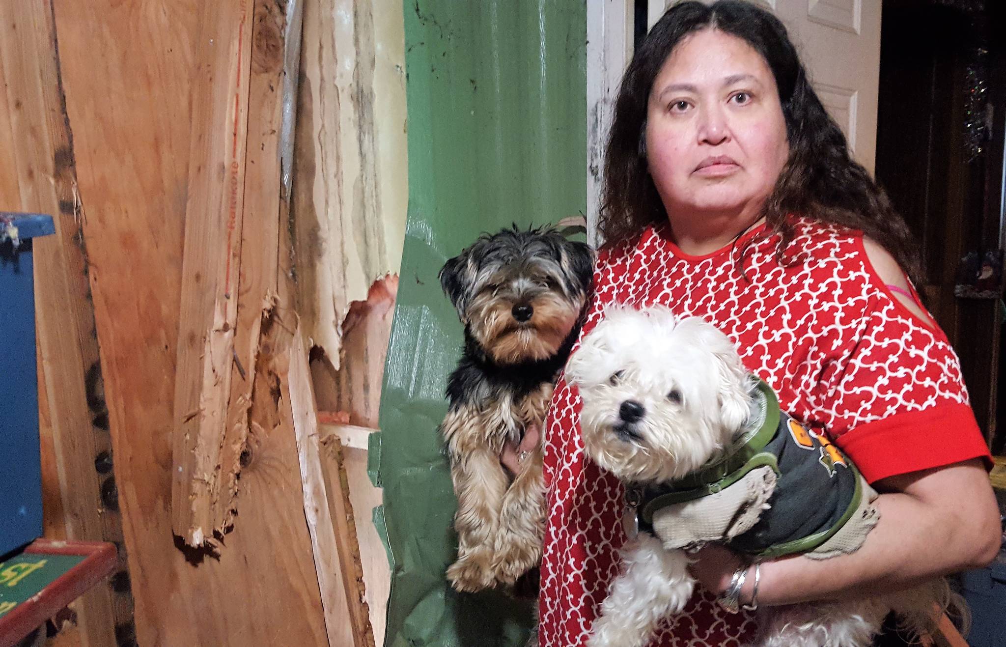Leoni Johnson credits her dogs, Rocky and Buttons, for alerting her to the bear in her arctic entry Tuesday morning. (Liz Kellar | Juneau Empire)