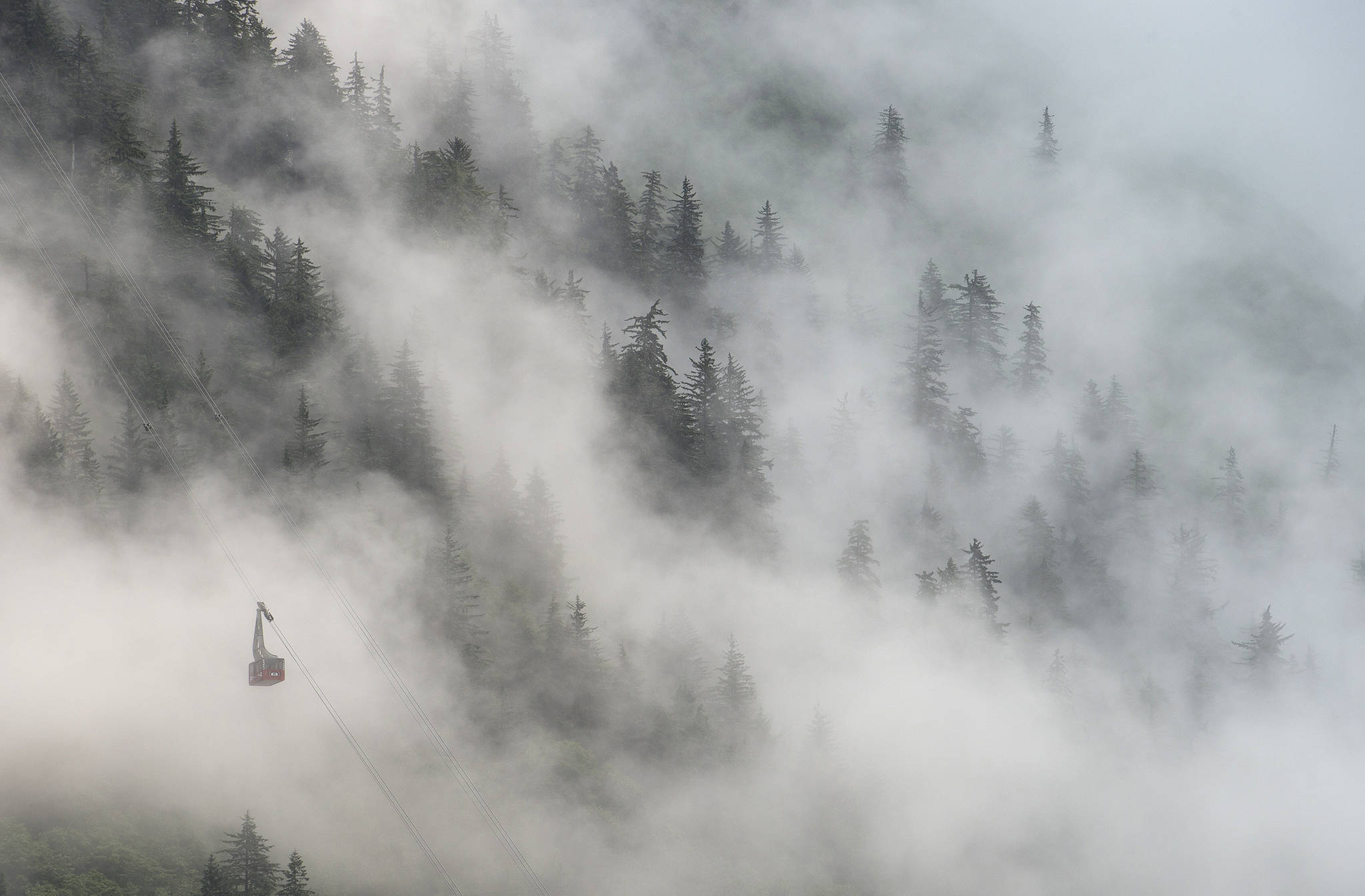 A car from the Mount Roberts Tramway rises through the mist above downtown Juneau on Monday, July 17, 2017. (Michael Penn | Juneau Empire)