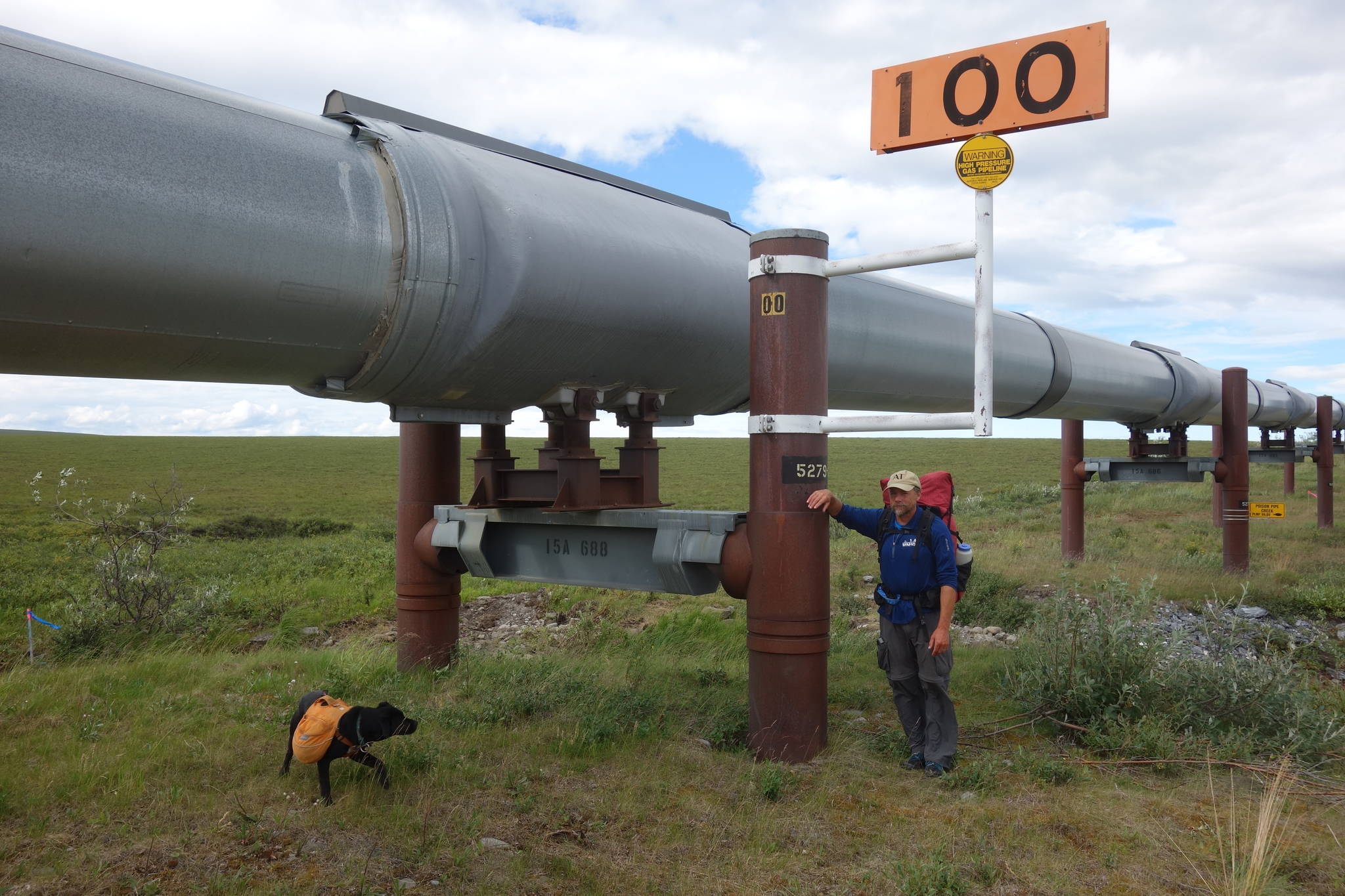 Ned Rozell at Trans-Alaska Pipeline mile 100, meaning that many miles remain to Pump Station One near Prudhoe Bay. (Photo by Eric Troyer)