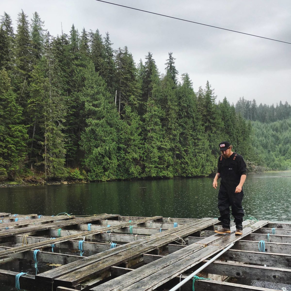 Juneau’s Food Festival keeps on growing Juneau Empire