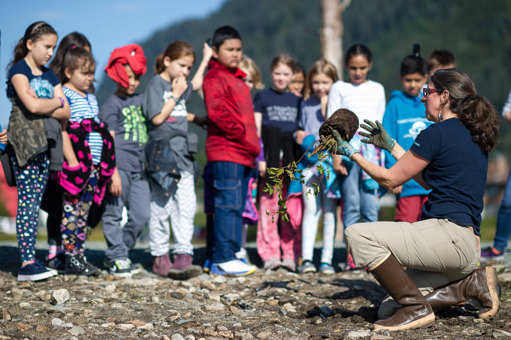 Michele Elfers, Chief Landscape Architect for the city, instructs fourth-grade students from Harborview Elementary School on how to plant salmonberries on a newly created island next to the Seawalk on Tuesday, Sept. 5, 2017. Harborview students will get a chance to plant 300 native species on the island over the next week to transform the area into habitat for birds. (Michael Penn | Juneau Empire)