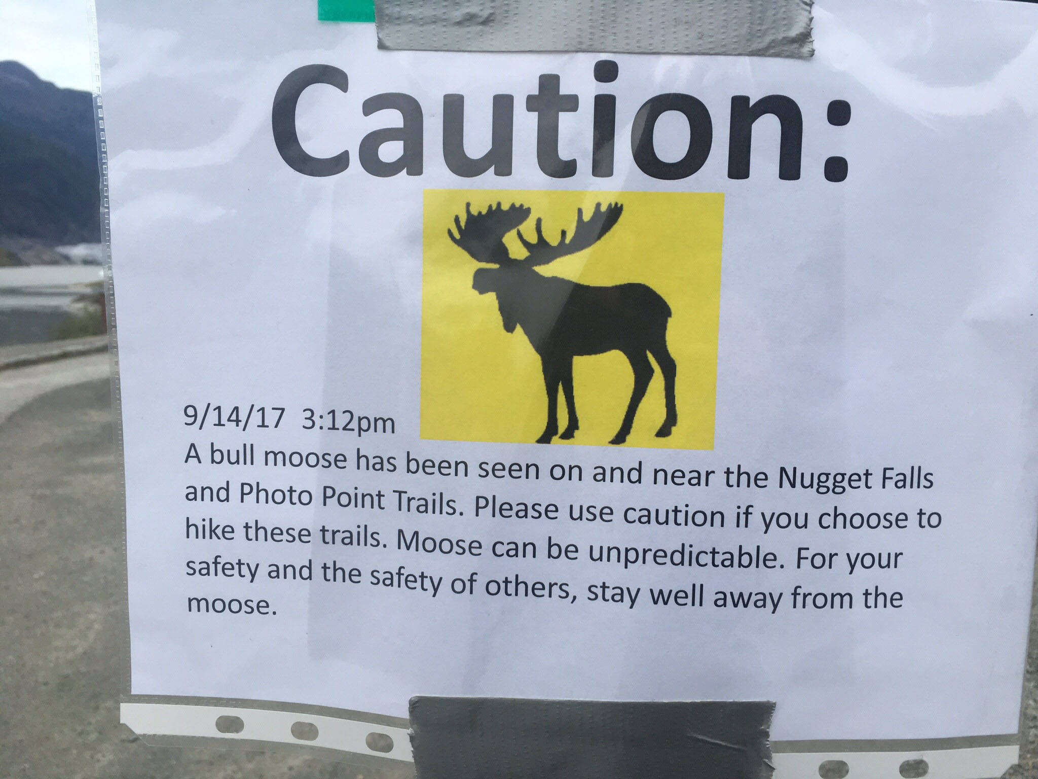 The U.S. Forest Service put up these signs in the Mendenhall Glacier Recreation Area to help visitors avoid run-ins with a bull moose, which showed up in the area this week. (James Brooks | Juneau Empire)