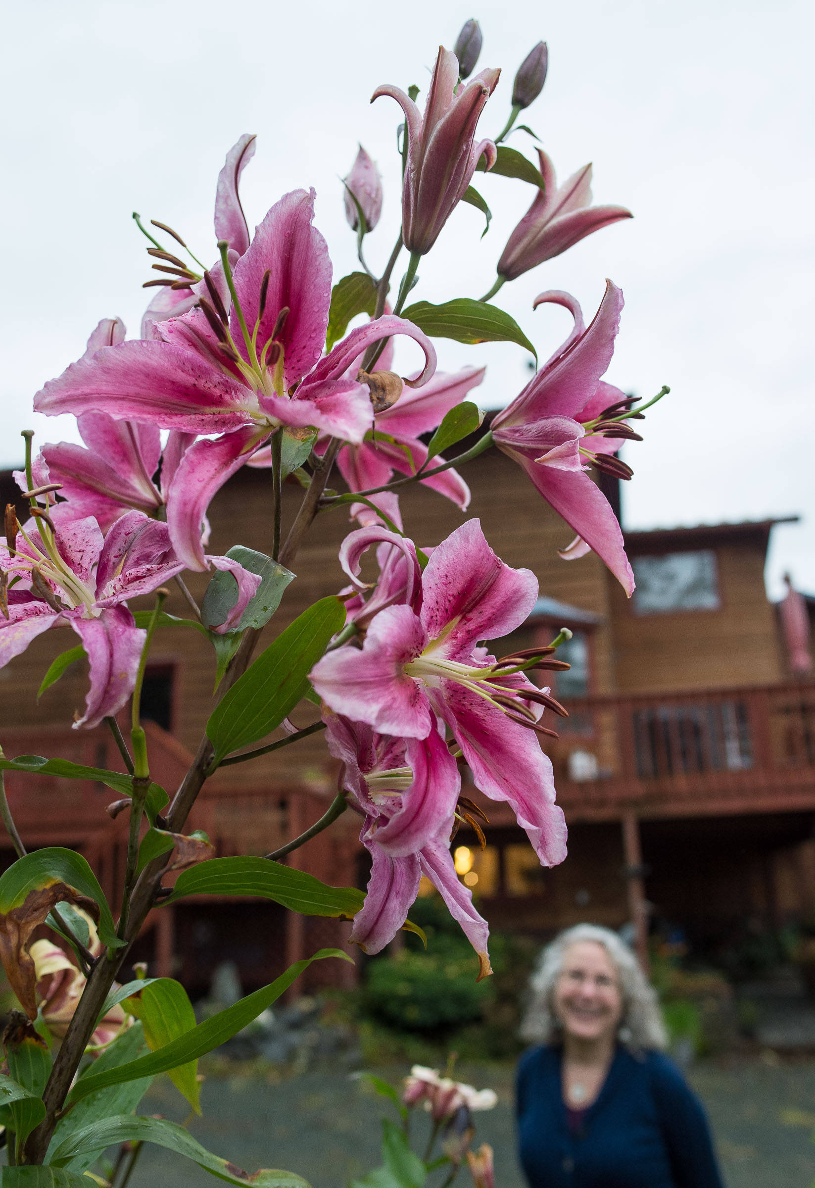 Nell McConahey at her Juneau home with Oriental hybrid lilies still in bloom on Thursday, Oct. 5, 2017. McConahey won for a pink Casablanca lily that was in bloom in August. (Michael Penn | Juneau Empire)