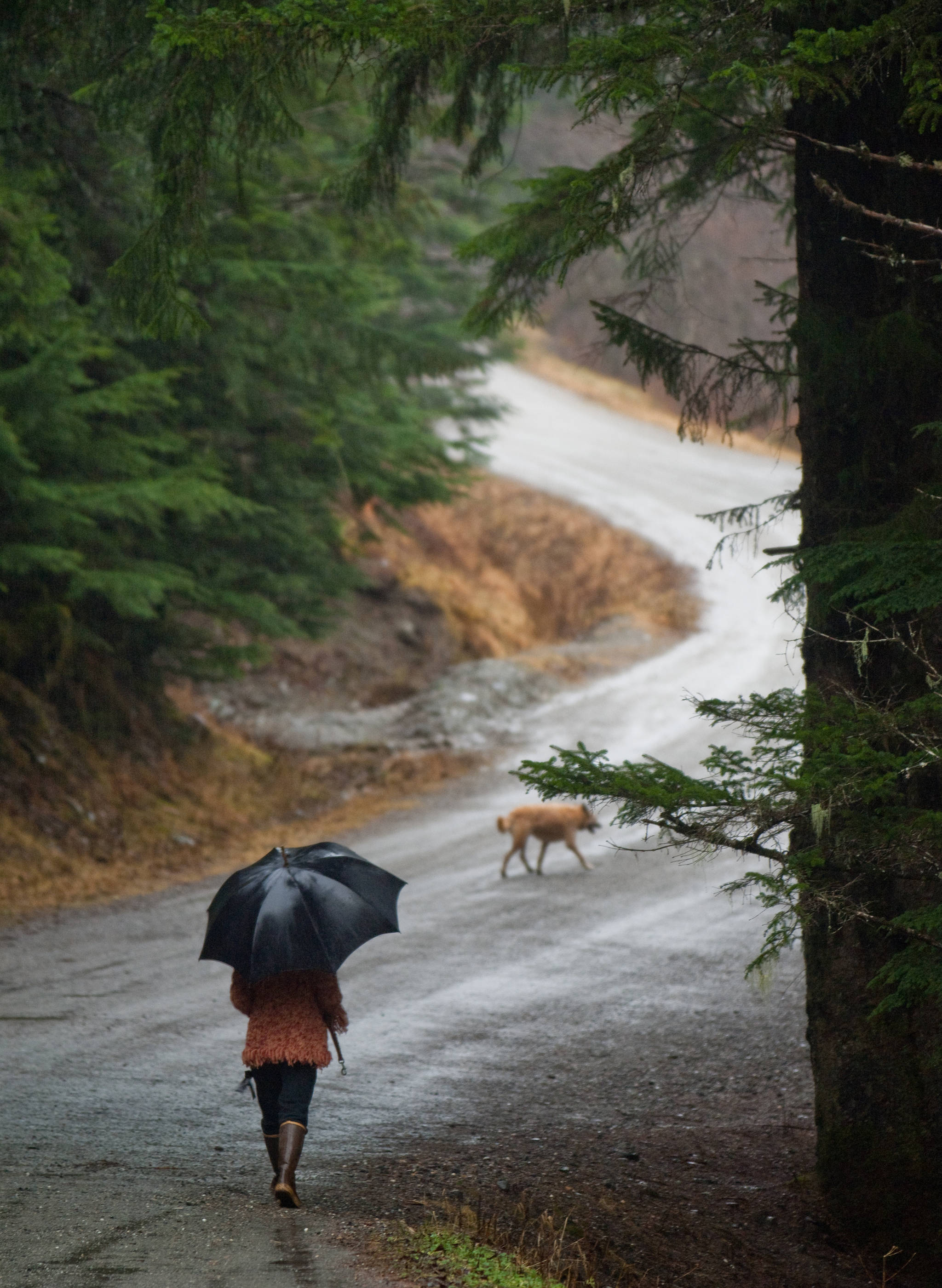 In this December 2014 photo, Laura Stats walks with her dog, Runa, on Basin Road. (Michael Penn | Juneau Empire File)