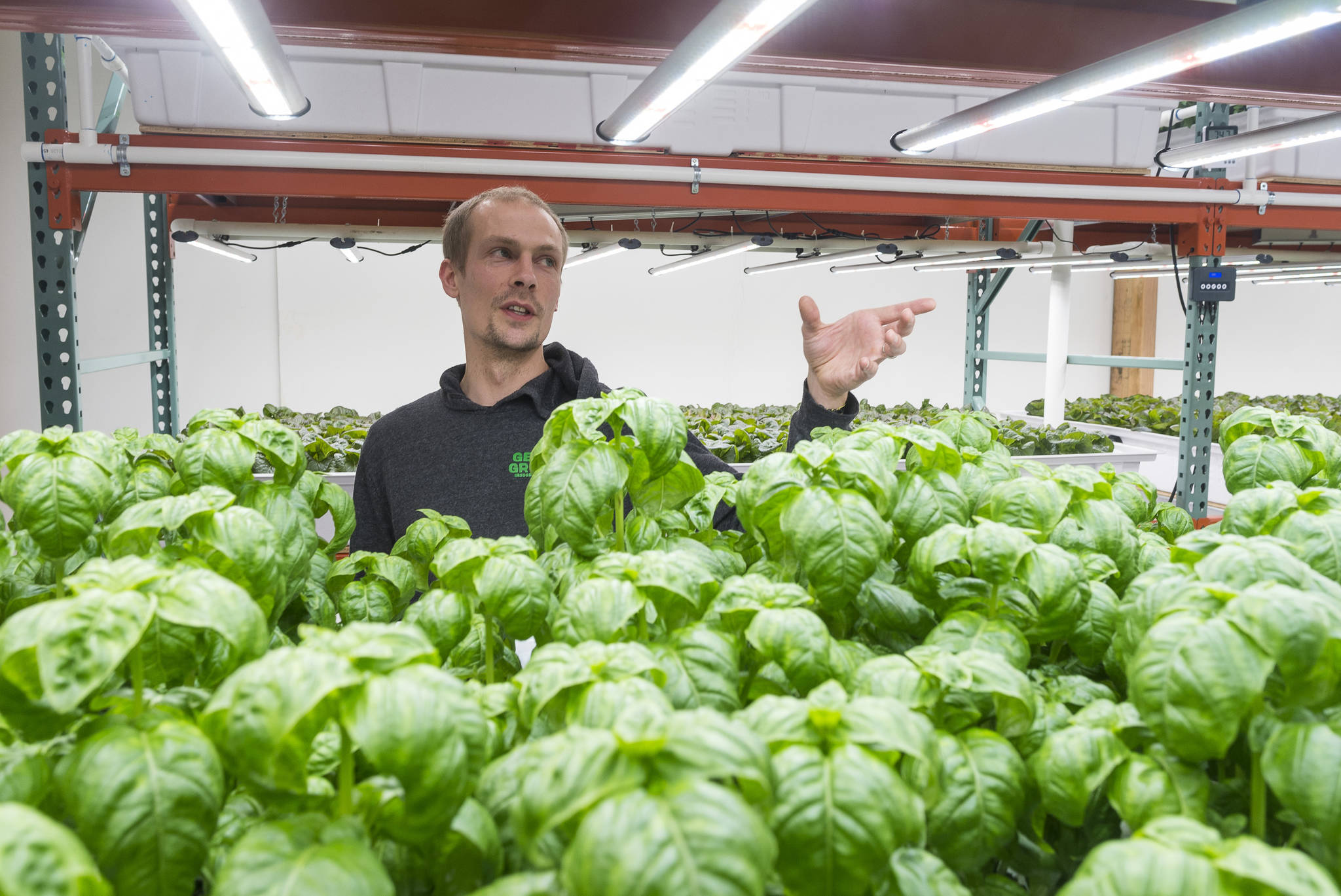 Trevor Kirchhoff, a co-owner of Juneau Greens, talks about their new indoor hydroponic growing system to produce basil and other leafy greens for sale in local grocery outlets on Wednesday, Oct. 25, 2017. (Michael Penn | Juneau Empire)
