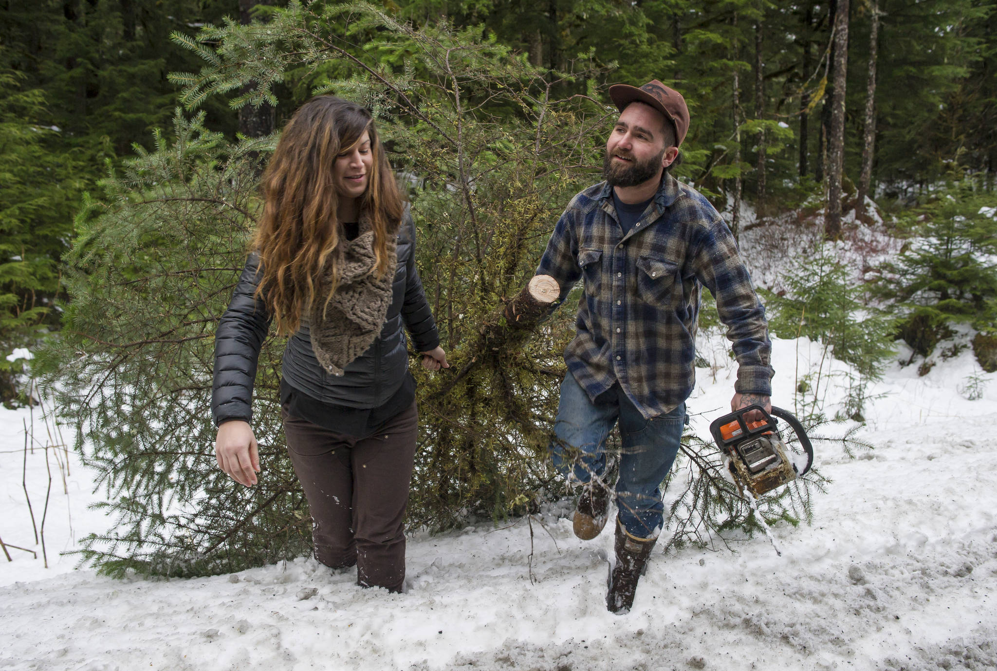 Matt Roda and his wife, Emily Smith, haulout their freshly cut spruce tree for Christmas from under the powerlines on Fish Creek Road on Wednesday, Nov. 29, 2017. (Michael Penn | Juneau Empire)