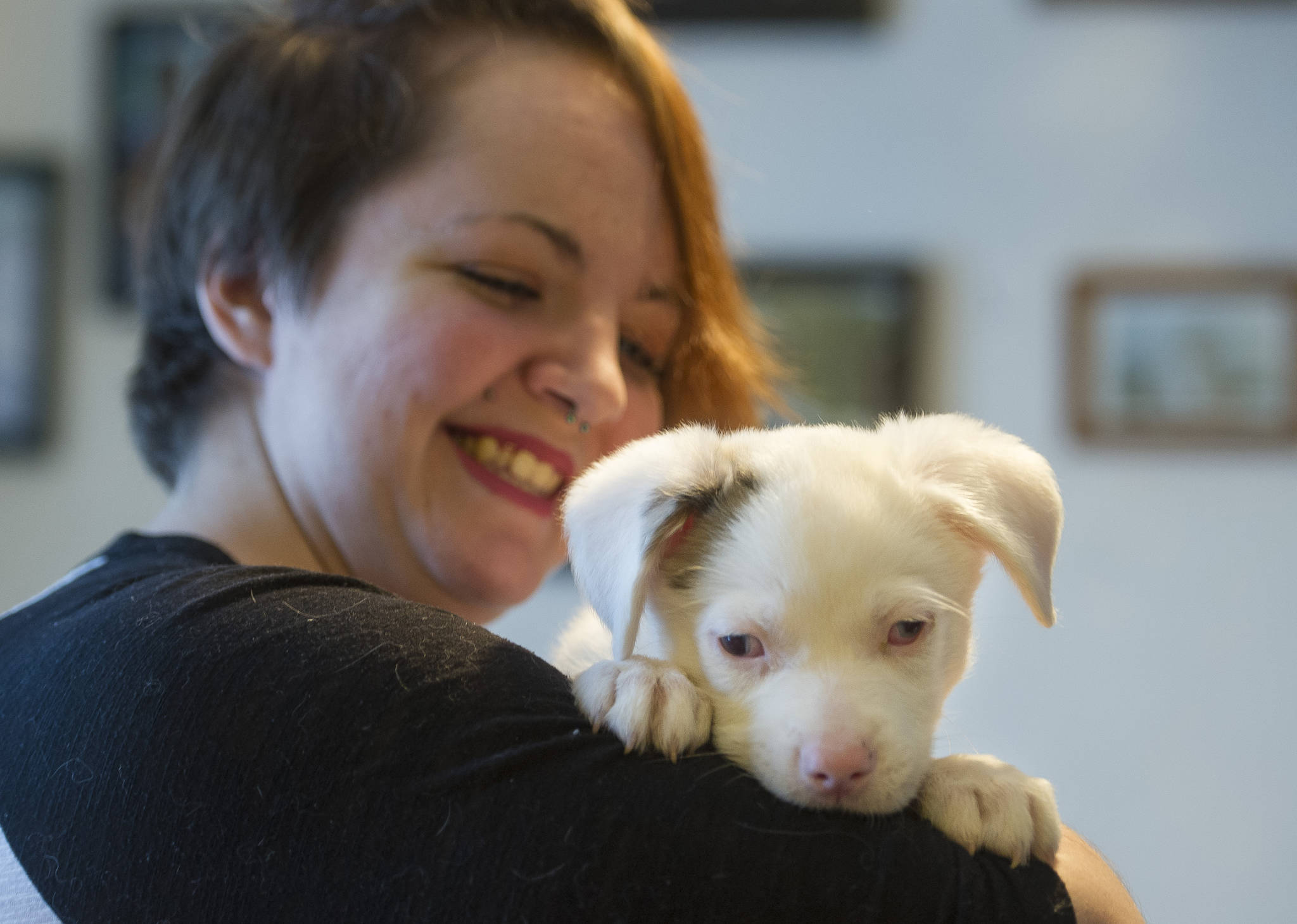 Briana Brint, president of Southeast Alaska Organization for Animals, holds Sid who is blind and deaf at a animal foster home in Juneau on Thursday, Nov. 30, 2017. Sid is from a litter rescued from Prince of Wales by the organization. (Michael Penn | Juneau Empire)