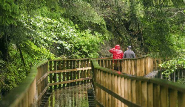 The Flume trail, July 2014. (Juneau Empire File)