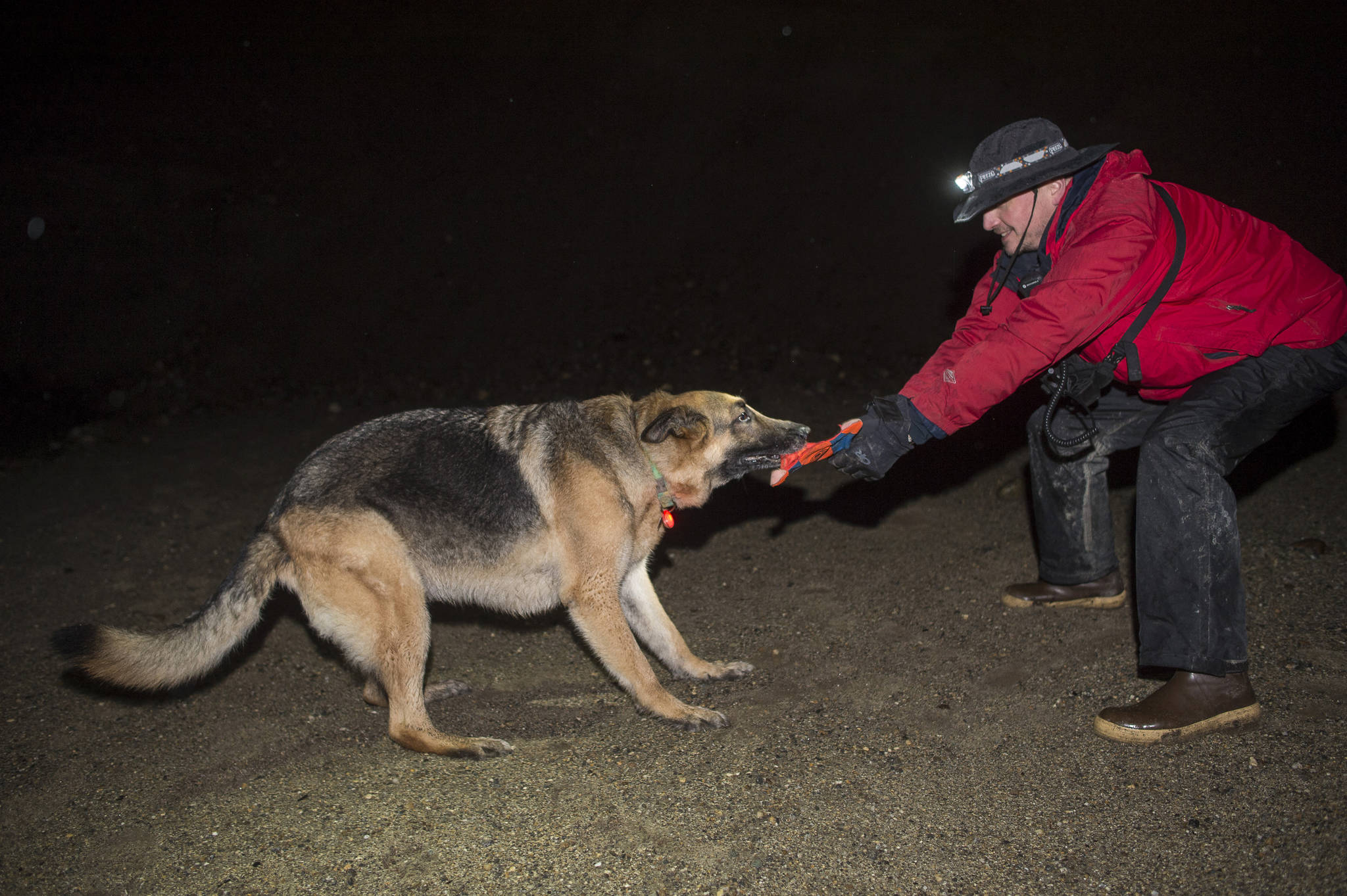 Liam Higgins, plays with his dog, Panzer, as an reward for finding a person during a SEADOGS K-9 search and rescue team practice in Lemon Creek on Wednesday, Dec. 13, 2017. (Michael Penn | Juneau Empire)