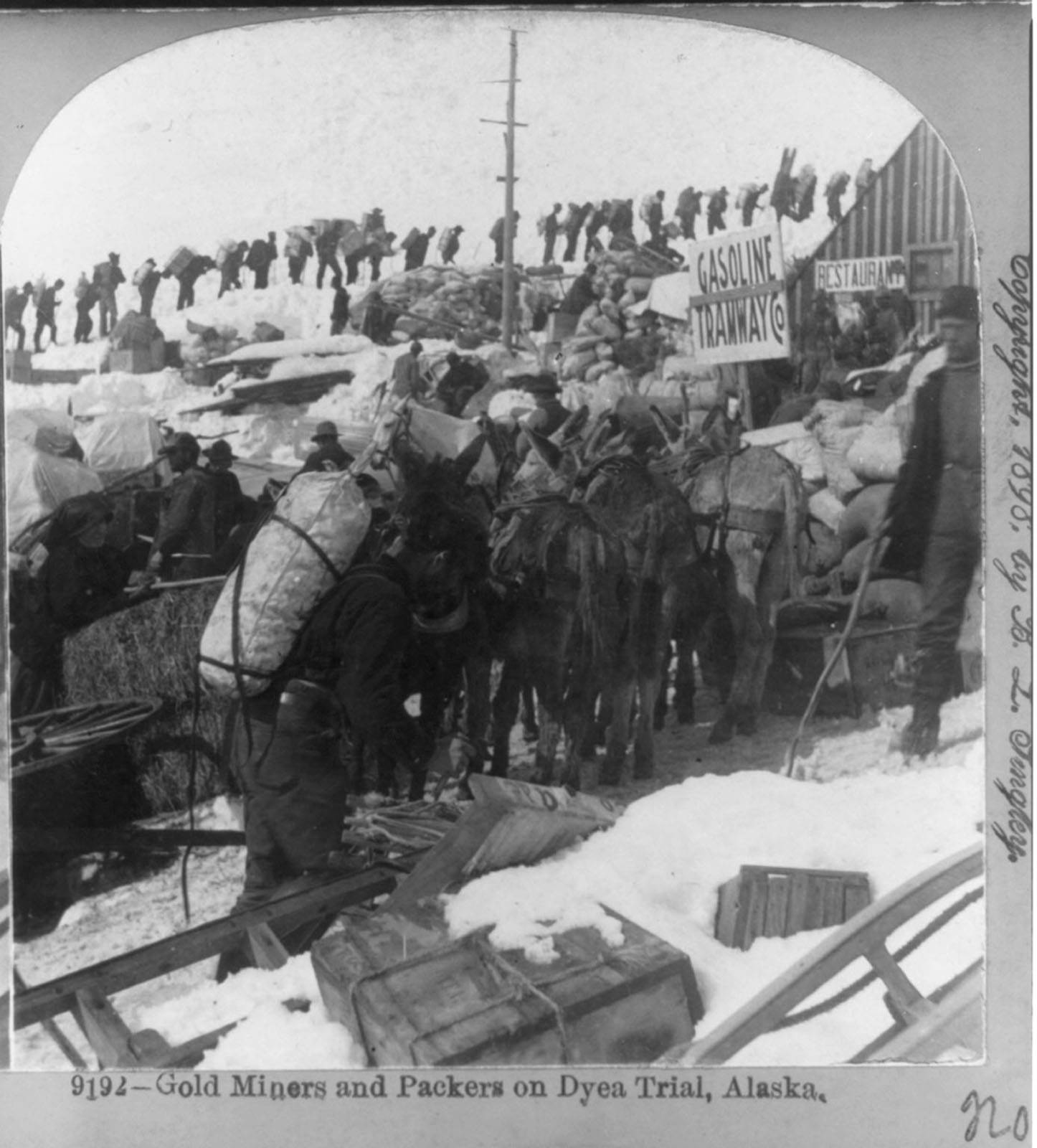 Library of Congress, 3b12801; KLGO Digital Library “Gold Miners and Packers on Dyea Trail, Alaska” looking west, most likely taken winter of 1898. Photographer: B. L. Singley (Keystone View Company) This photograph shows the Gasoline Tramway Company sign amid stampeders, horses, and outfits. The gasoline powered tramway was introduced by mid-April 1898. It was described as “simply a pulley drum and gasoline engine at the summit of the pass, and enough rope to reach the bottom. Sleds were hitched onto the rope, which was wound around the drum and it pulled them to the top.” In the background is the line of stampeders hiking on the Golden Stairs