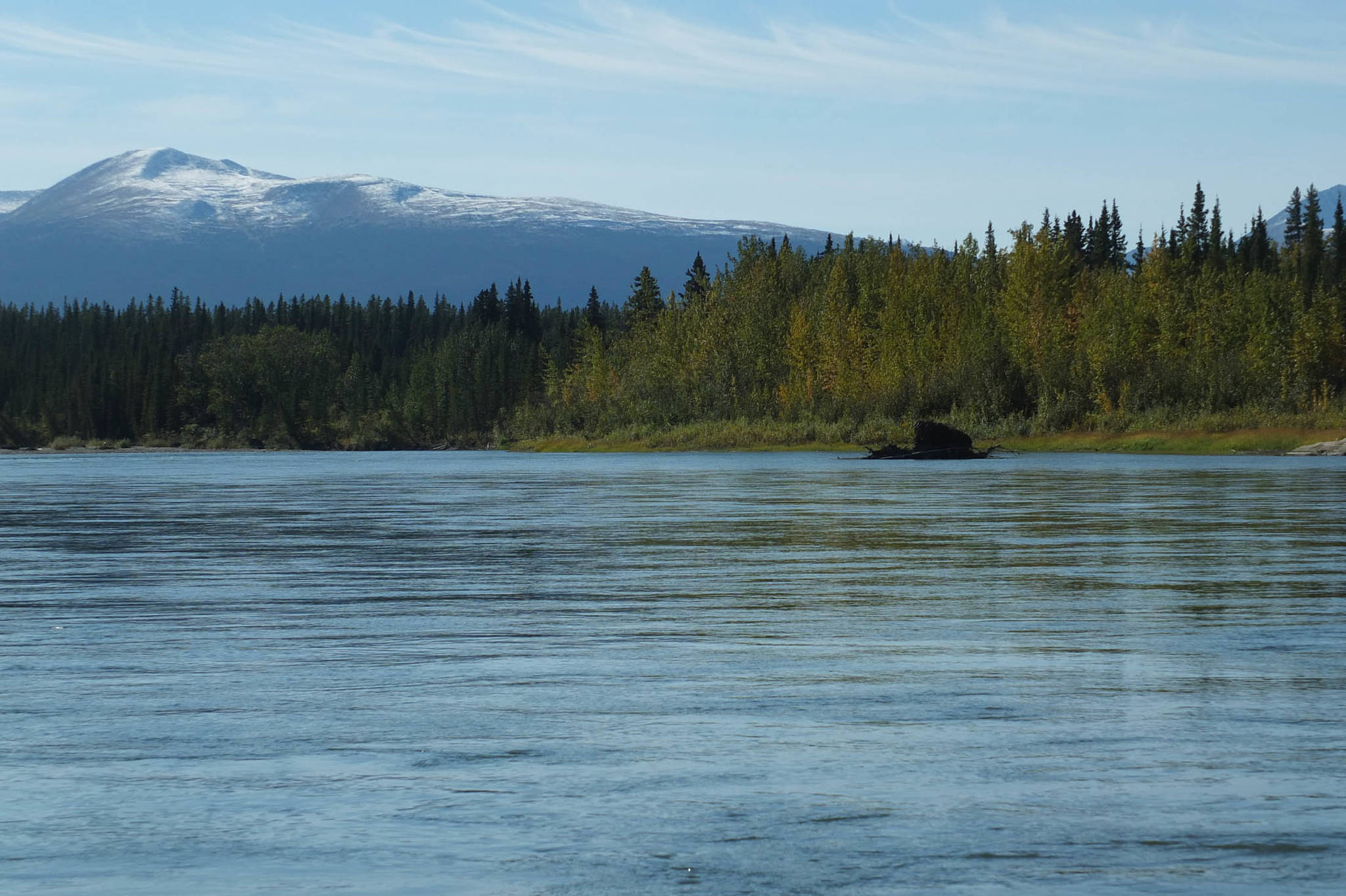 A vista of forest and mountains surrounding the Nisutlin River. Photo by Bjorn Dihle.
