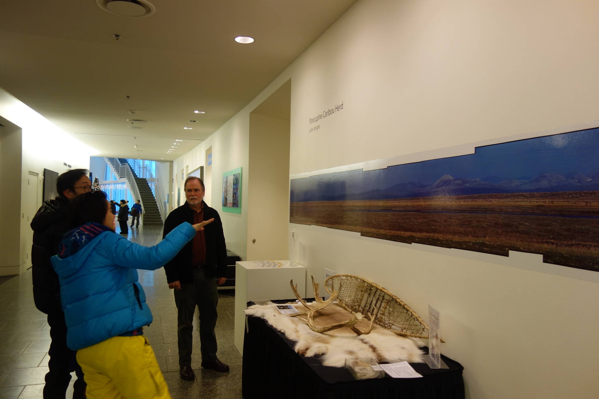 John Wright stands next to his 1979 panoramic photo of the Porcupine caribou herd in the University of Alaska Museum of the North. (Photo by Ned Rozell)